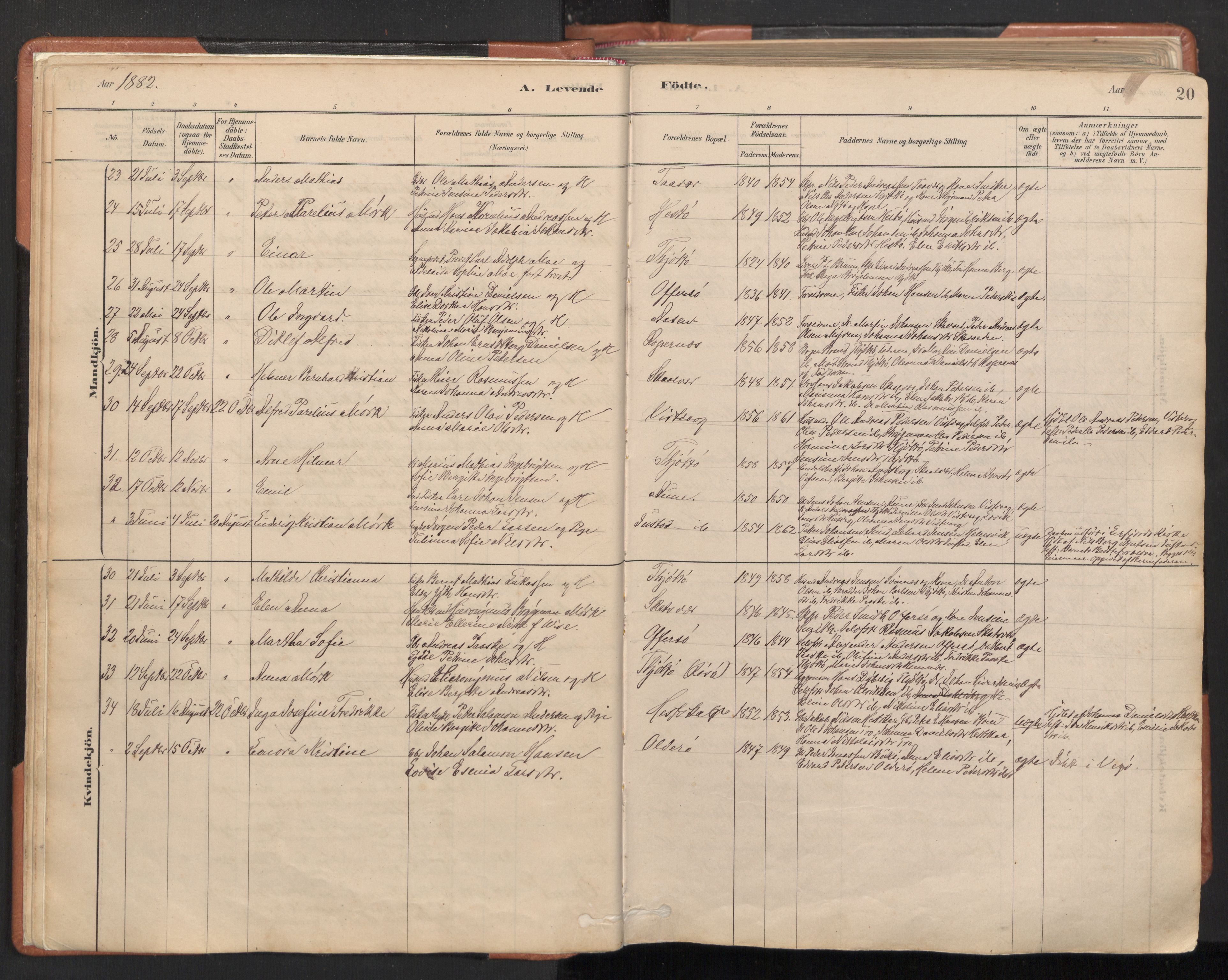 Ministerialprotokoller, klokkerbøker og fødselsregistre - Nordland, SAT/A-1459/817/L0264: Parish register (official) no. 817A04, 1878-1907, p. 20