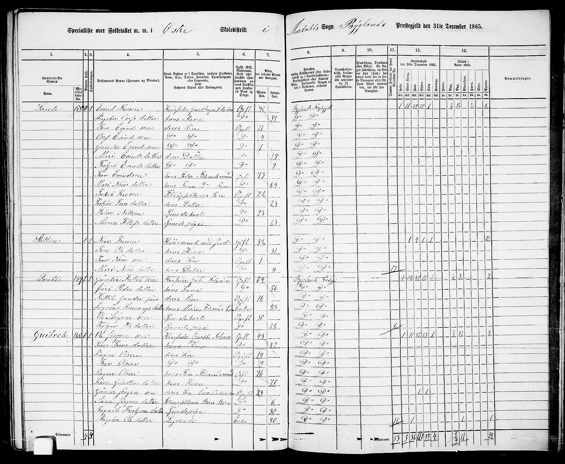 RA, 1865 census for Bygland, 1865, p. 83