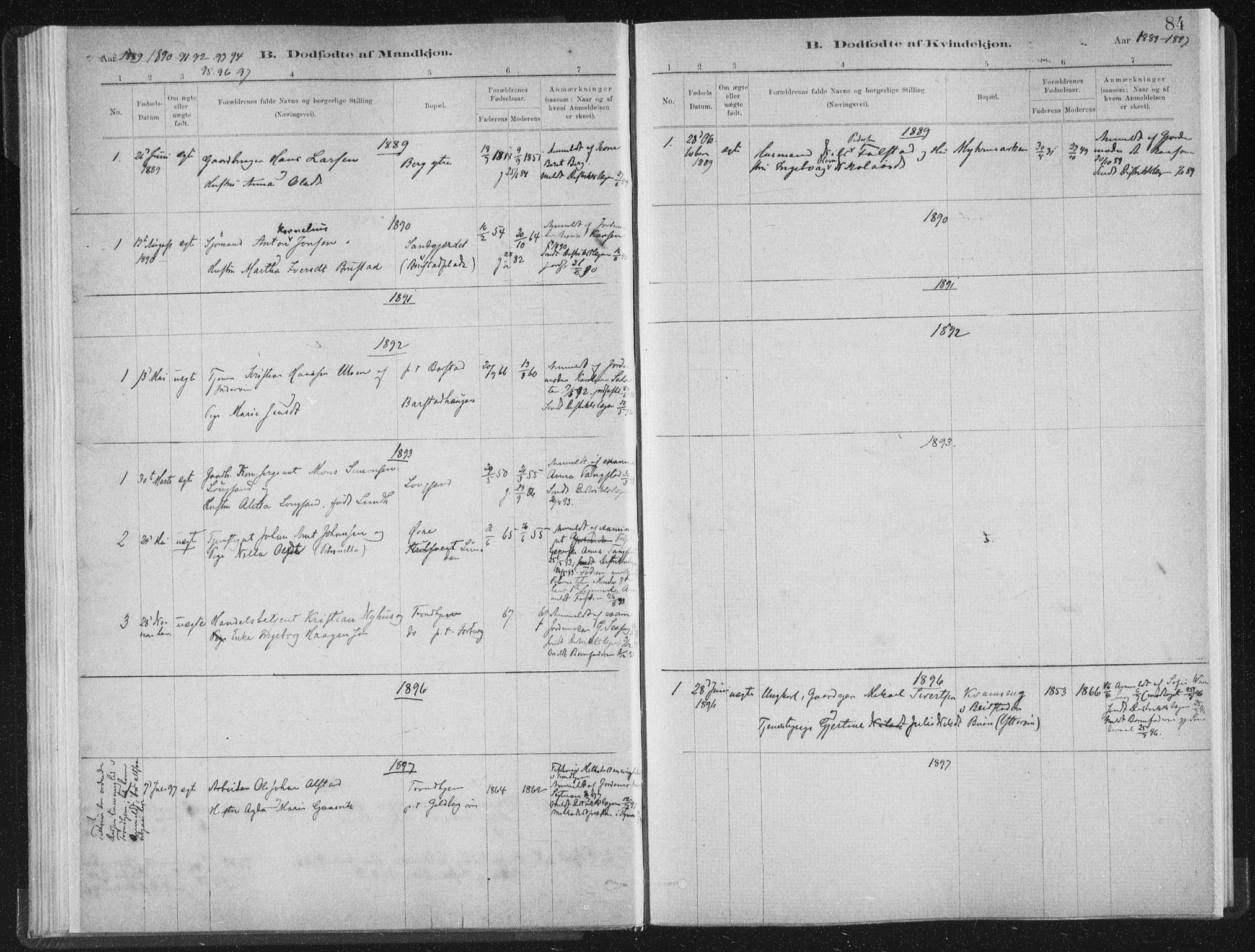 Ministerialprotokoller, klokkerbøker og fødselsregistre - Nord-Trøndelag, SAT/A-1458/722/L0220: Parish register (official) no. 722A07, 1881-1908, p. 84