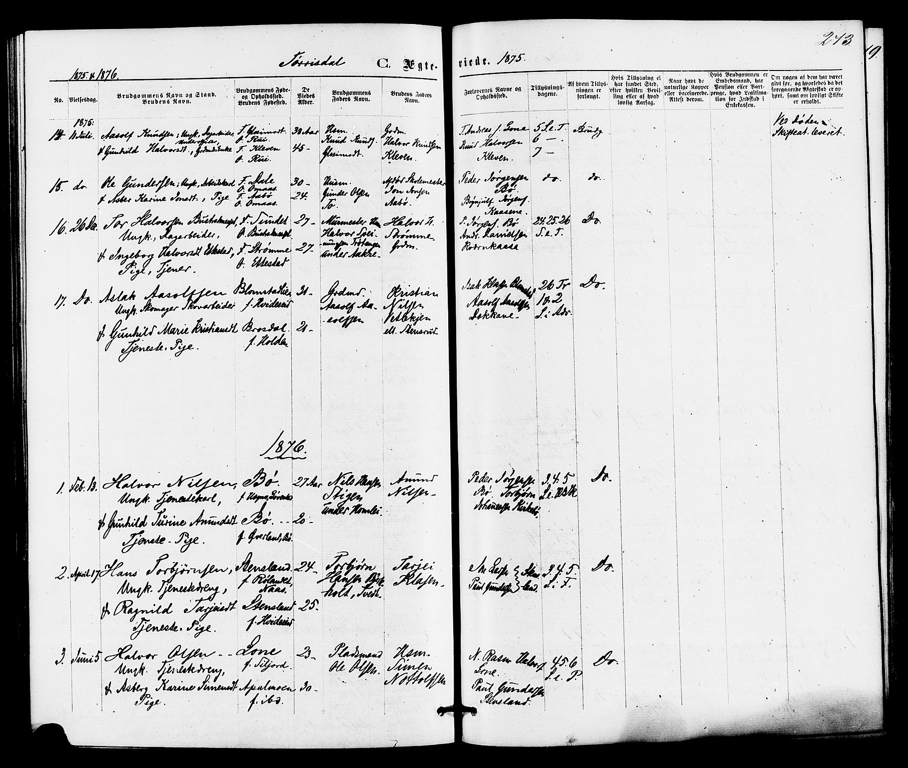Drangedal kirkebøker, SAKO/A-258/F/Fa/L0009: Parish register (official) no. 9 /2, 1872-1884, p. 273