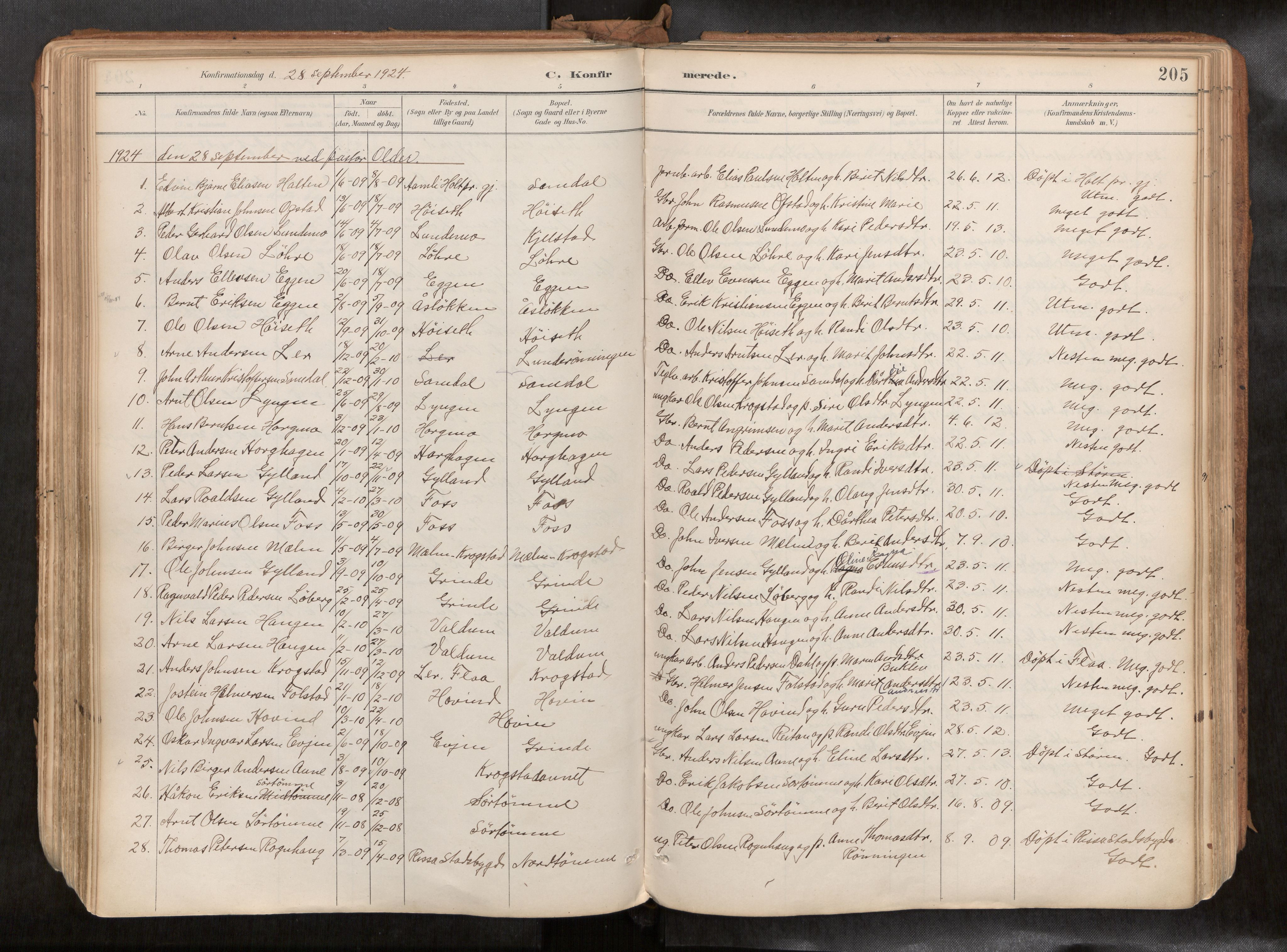 Ministerialprotokoller, klokkerbøker og fødselsregistre - Sør-Trøndelag, AV/SAT-A-1456/692/L1105b: Parish register (official) no. 692A06, 1891-1934, p. 205