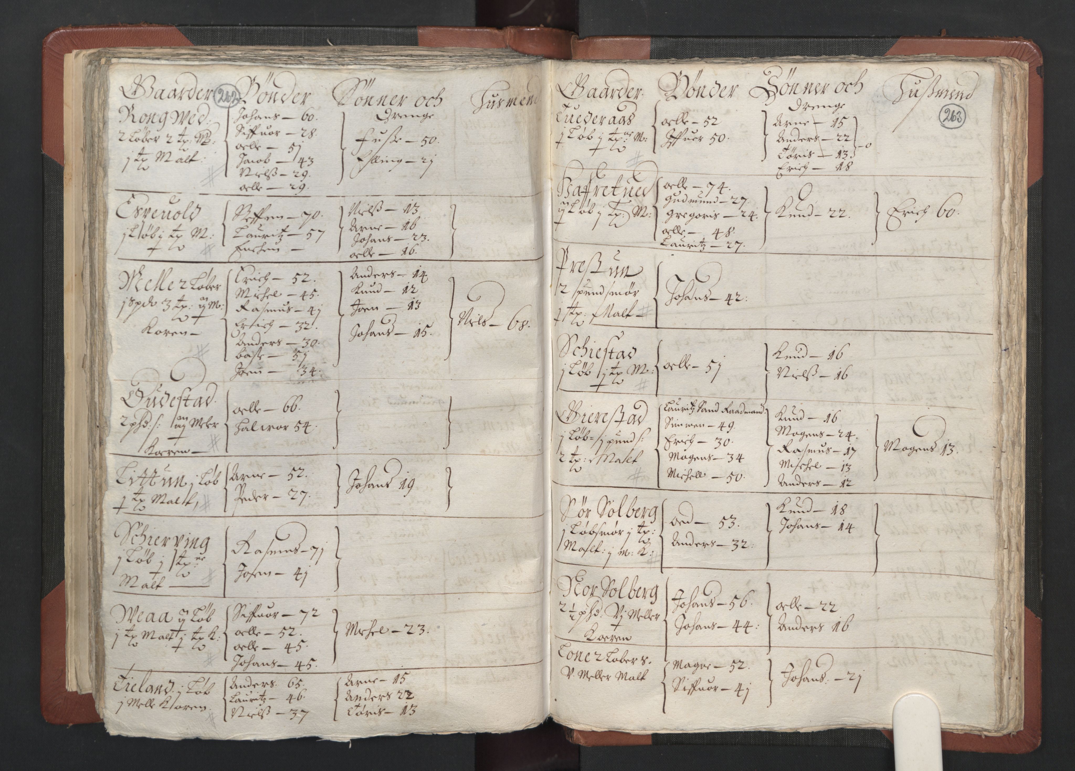 RA, Bailiff's Census 1664-1666, no. 13: Nordhordland fogderi and Sunnhordland fogderi, 1665, p. 262-263