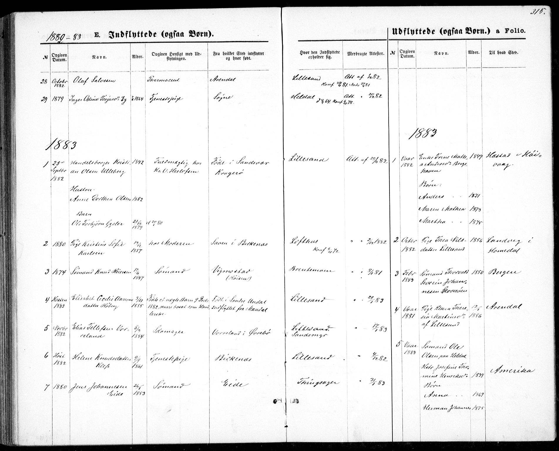 Vestre Moland sokneprestkontor, SAK/1111-0046/F/Fb/Fbb/L0005: Parish register (copy) no. B 5, 1872-1883, p. 315