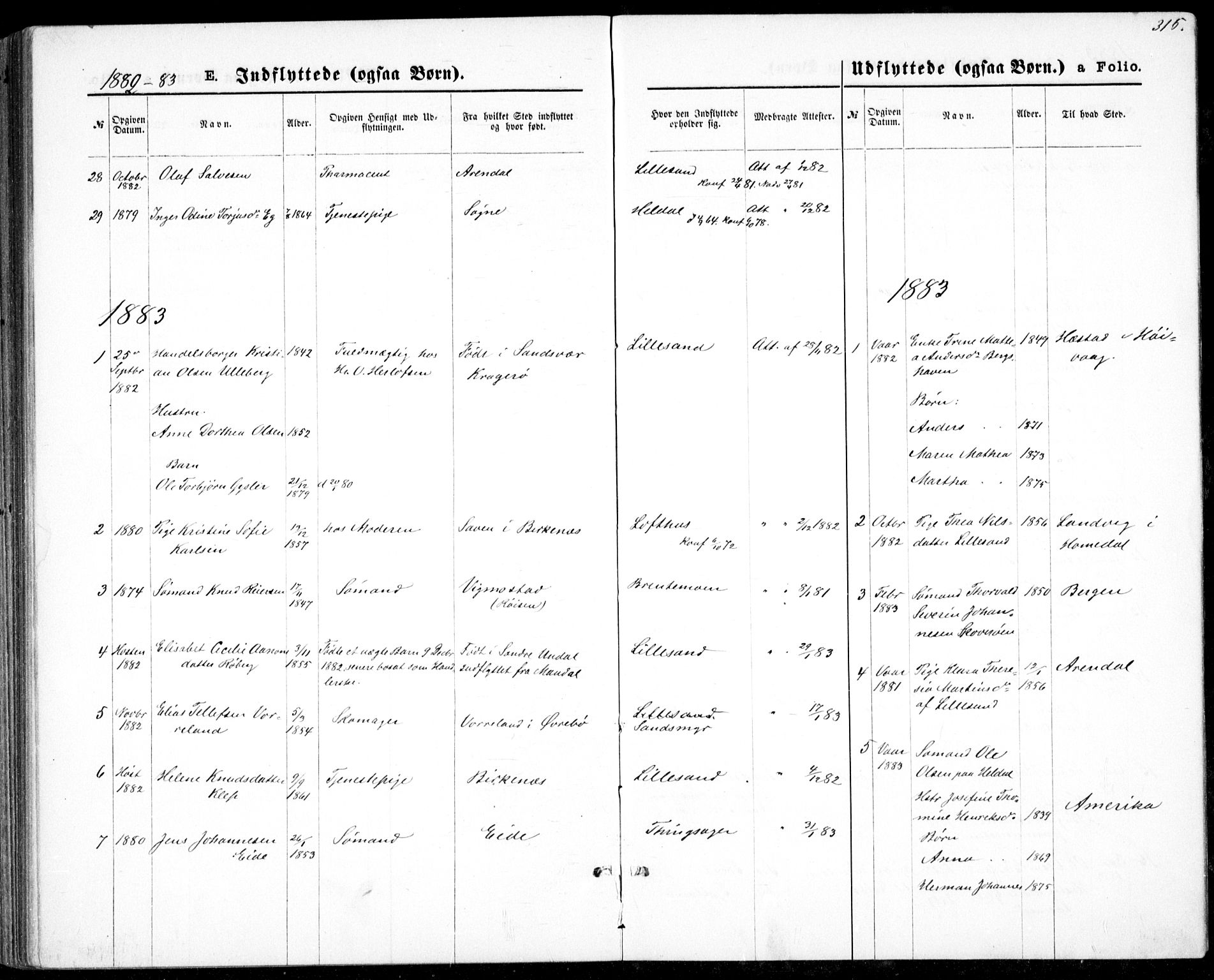 Vestre Moland sokneprestkontor, AV/SAK-1111-0046/F/Fb/Fbb/L0005: Parish register (copy) no. B 5, 1872-1883, p. 315