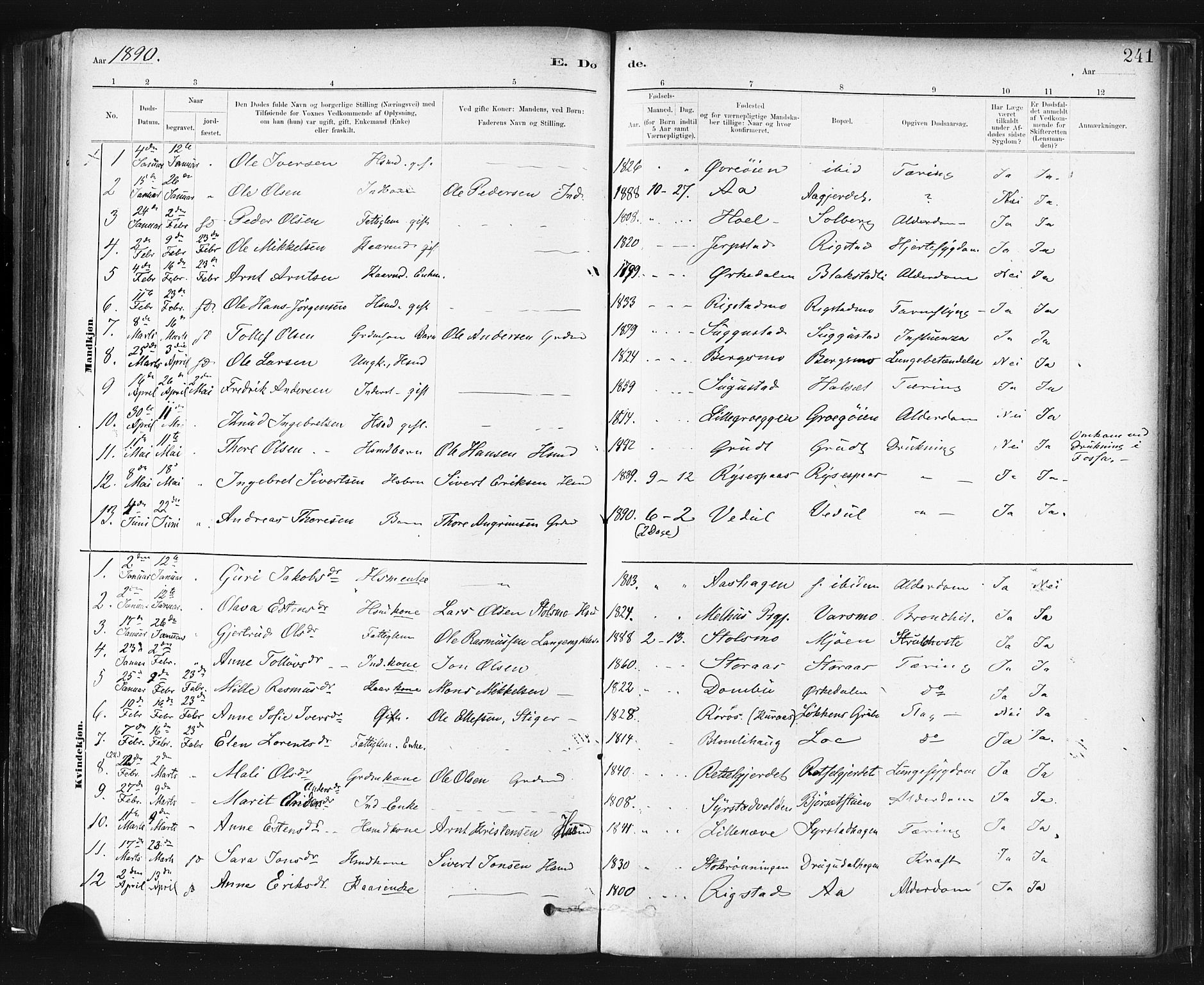 Ministerialprotokoller, klokkerbøker og fødselsregistre - Sør-Trøndelag, AV/SAT-A-1456/672/L0857: Parish register (official) no. 672A09, 1882-1893, p. 241