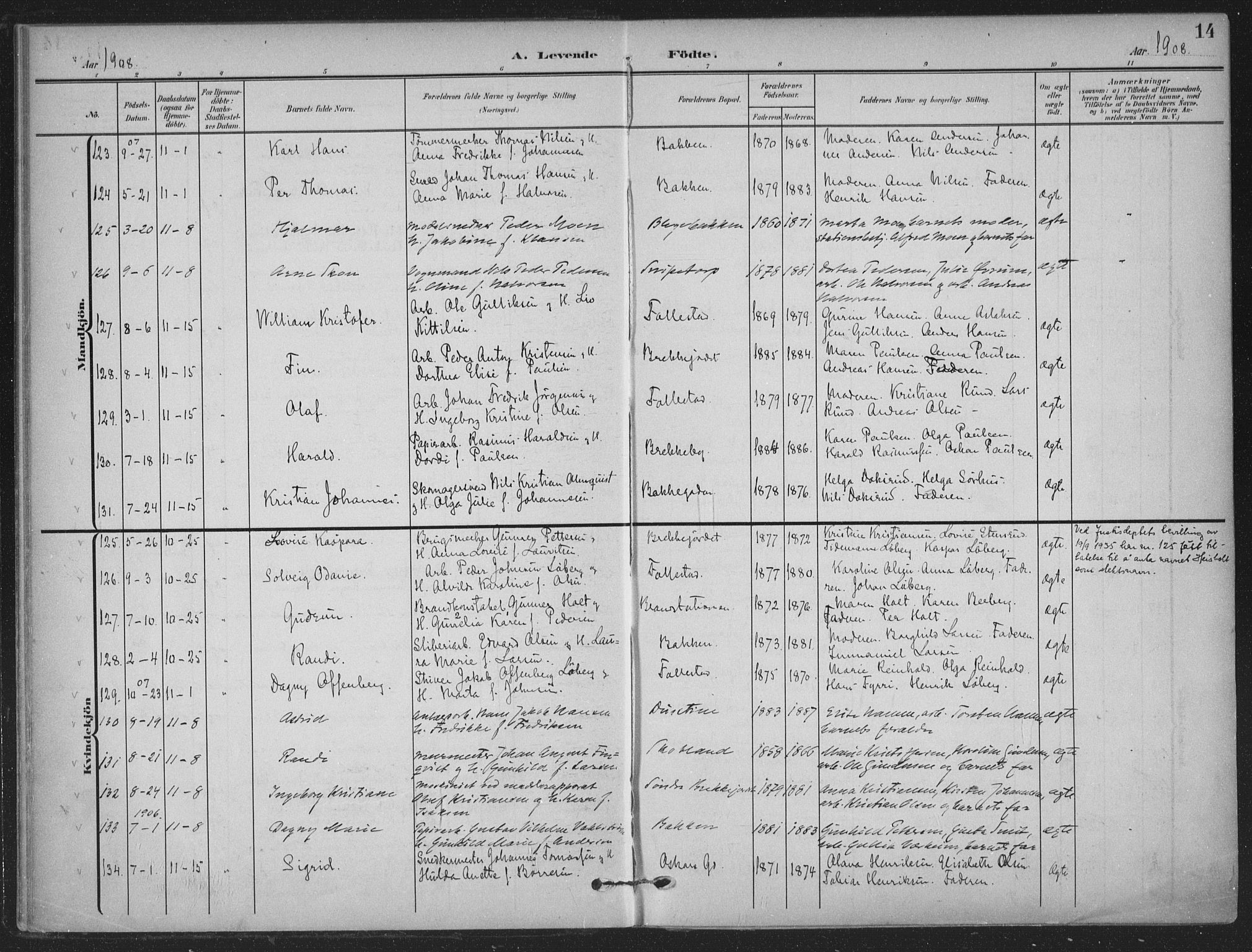 Skien kirkebøker, AV/SAKO-A-302/F/Fa/L0012: Parish register (official) no. 12, 1908-1914, p. 14