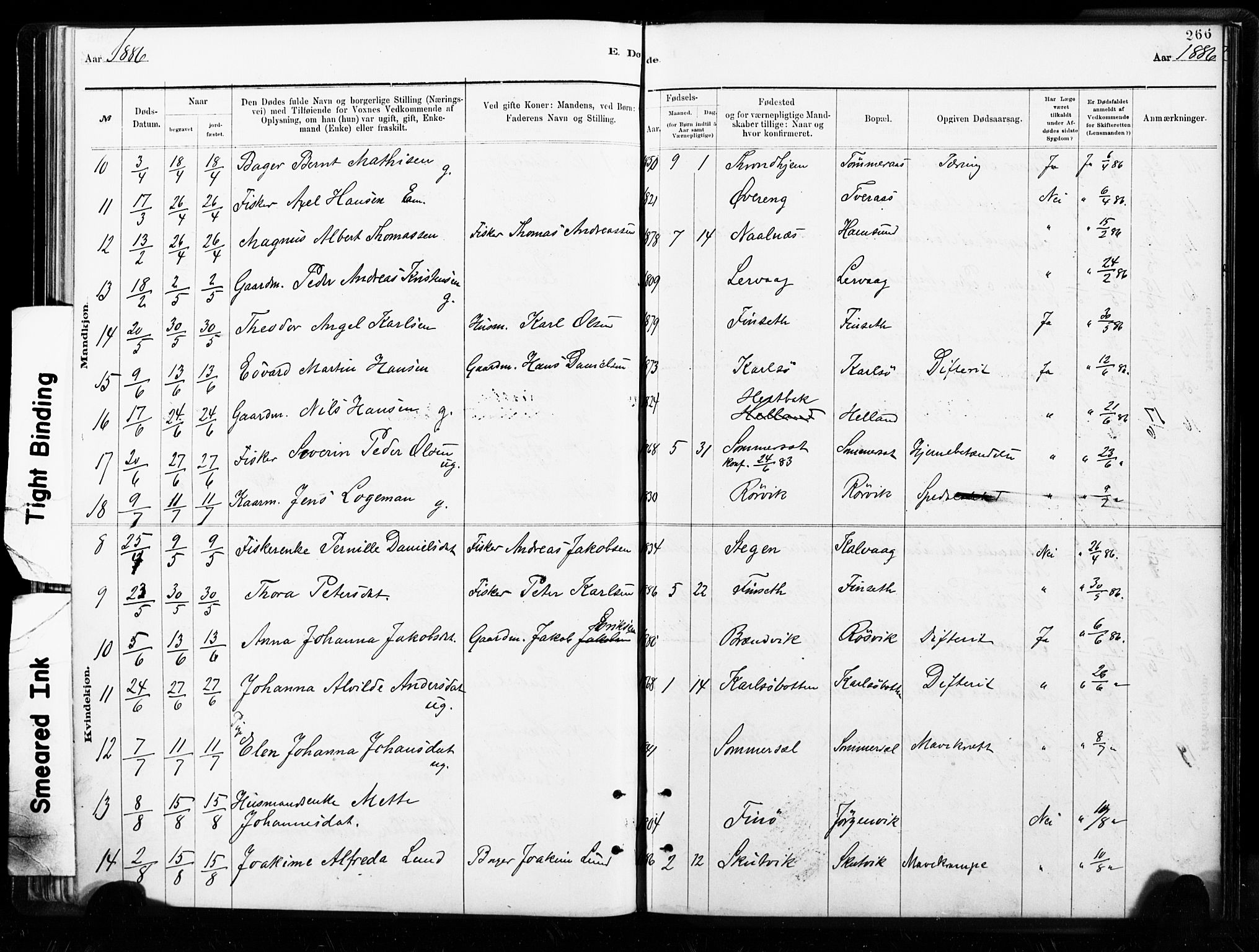 Ministerialprotokoller, klokkerbøker og fødselsregistre - Nordland, AV/SAT-A-1459/859/L0846: Parish register (official) no. 859A06, 1878-1889, p. 266