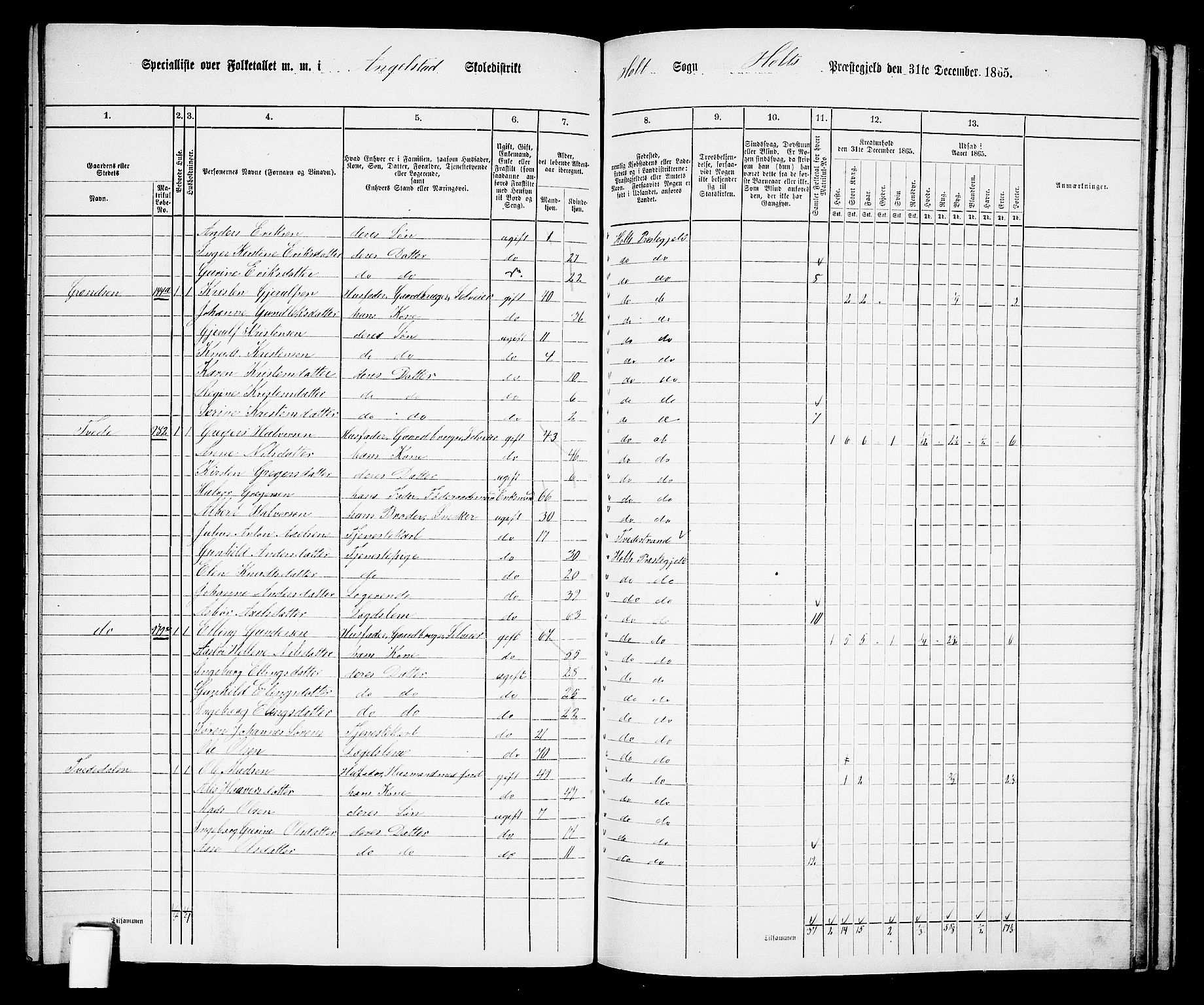 RA, 1865 census for Holt/Holt, 1865, p. 159