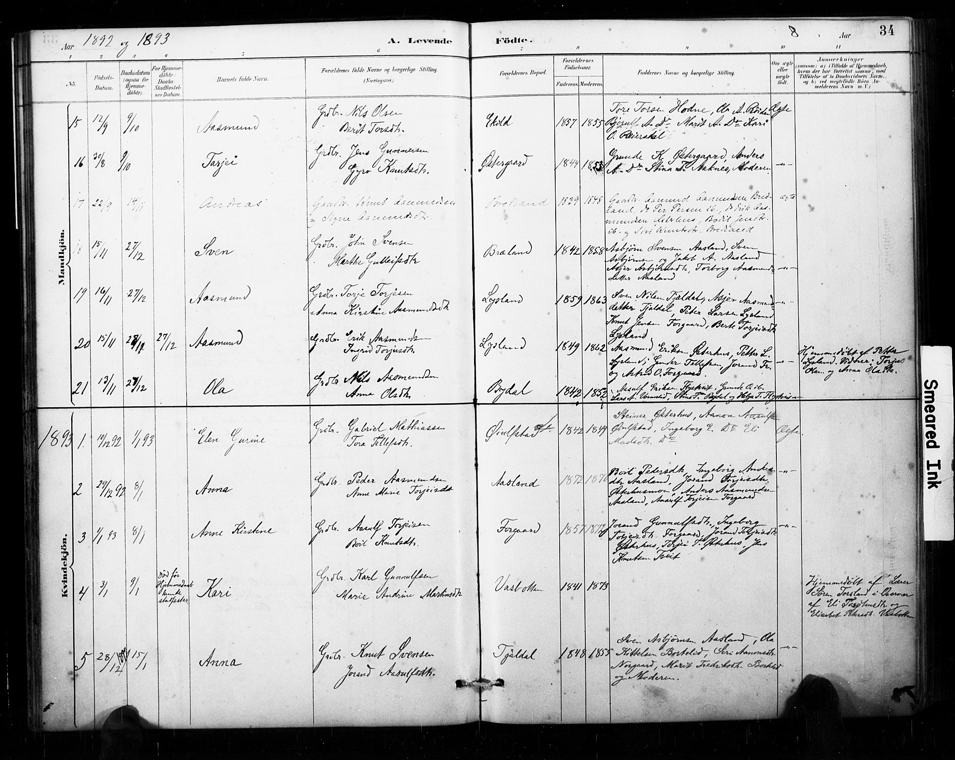 Åseral sokneprestkontor, AV/SAK-1111-0051/F/Fa/L0003: Parish register (official) no. A 3, 1884-1901, p. 34