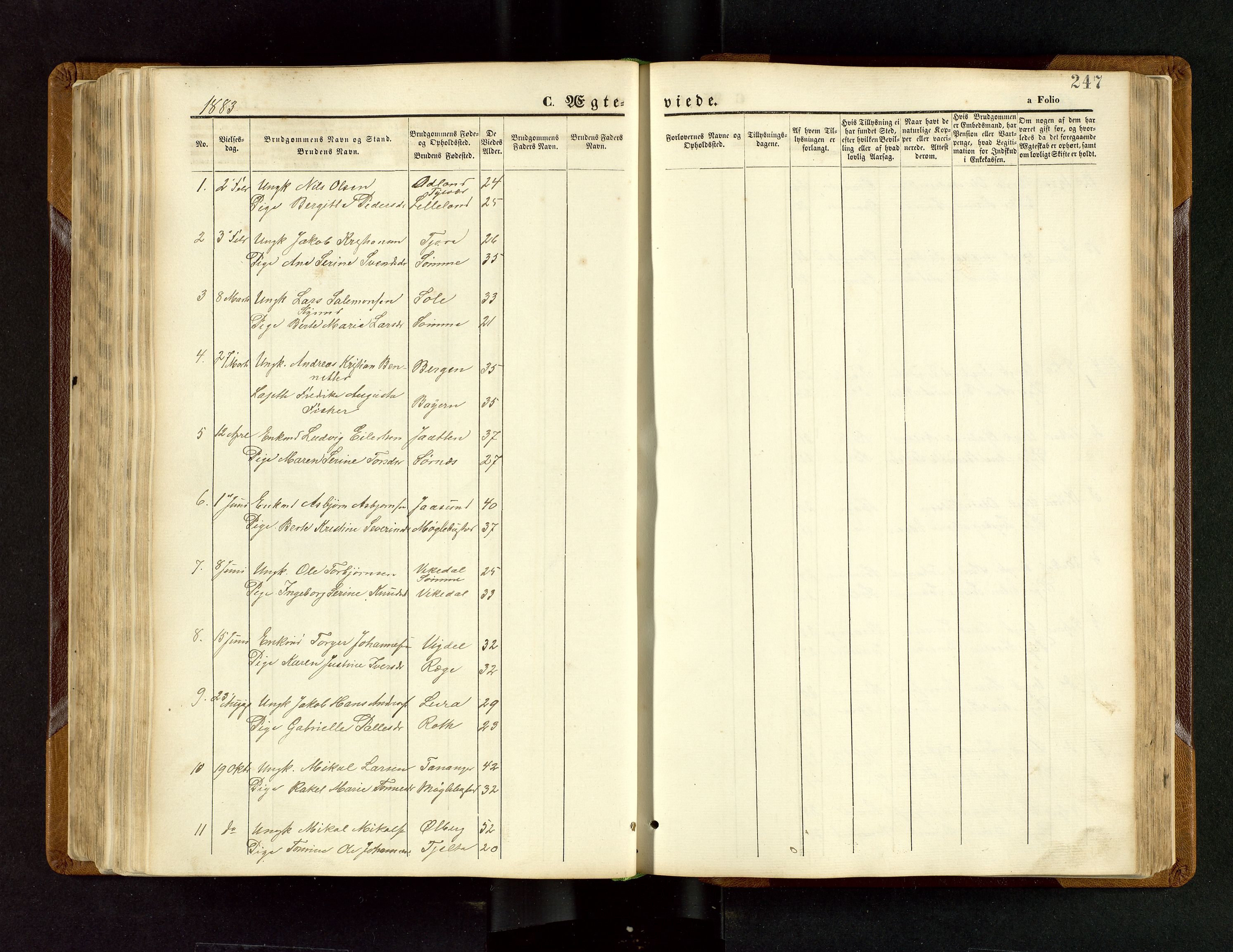 Håland sokneprestkontor, SAST/A-101802/001/30BB/L0003: Parish register (copy) no. B 3, 1873-1893, p. 247