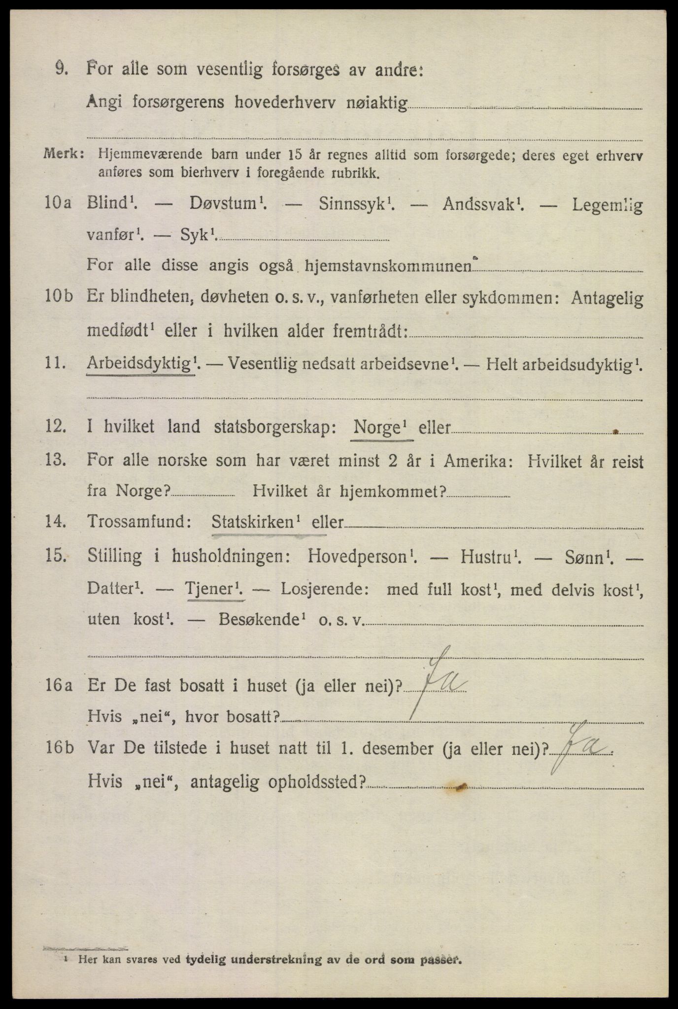 SAKO, 1920 census for Våle, 1920, p. 1249