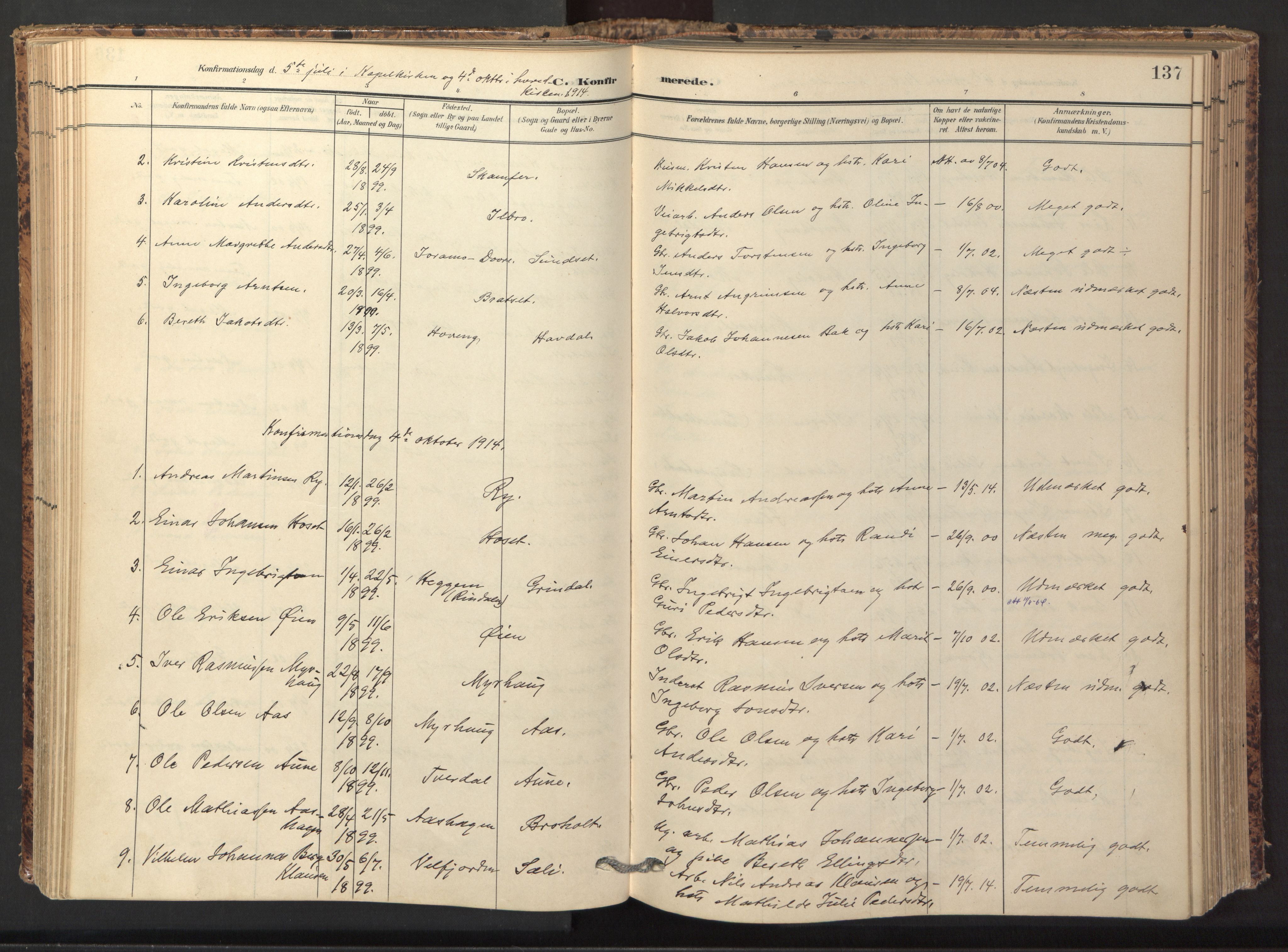 Ministerialprotokoller, klokkerbøker og fødselsregistre - Sør-Trøndelag, SAT/A-1456/674/L0873: Parish register (official) no. 674A05, 1908-1923, p. 137