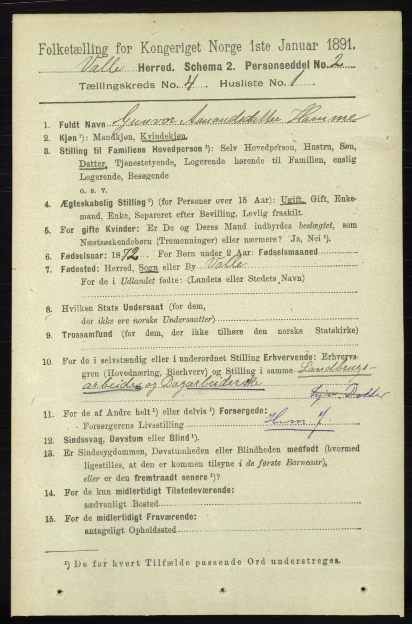 RA, 1891 census for 0940 Valle, 1891, p. 1006