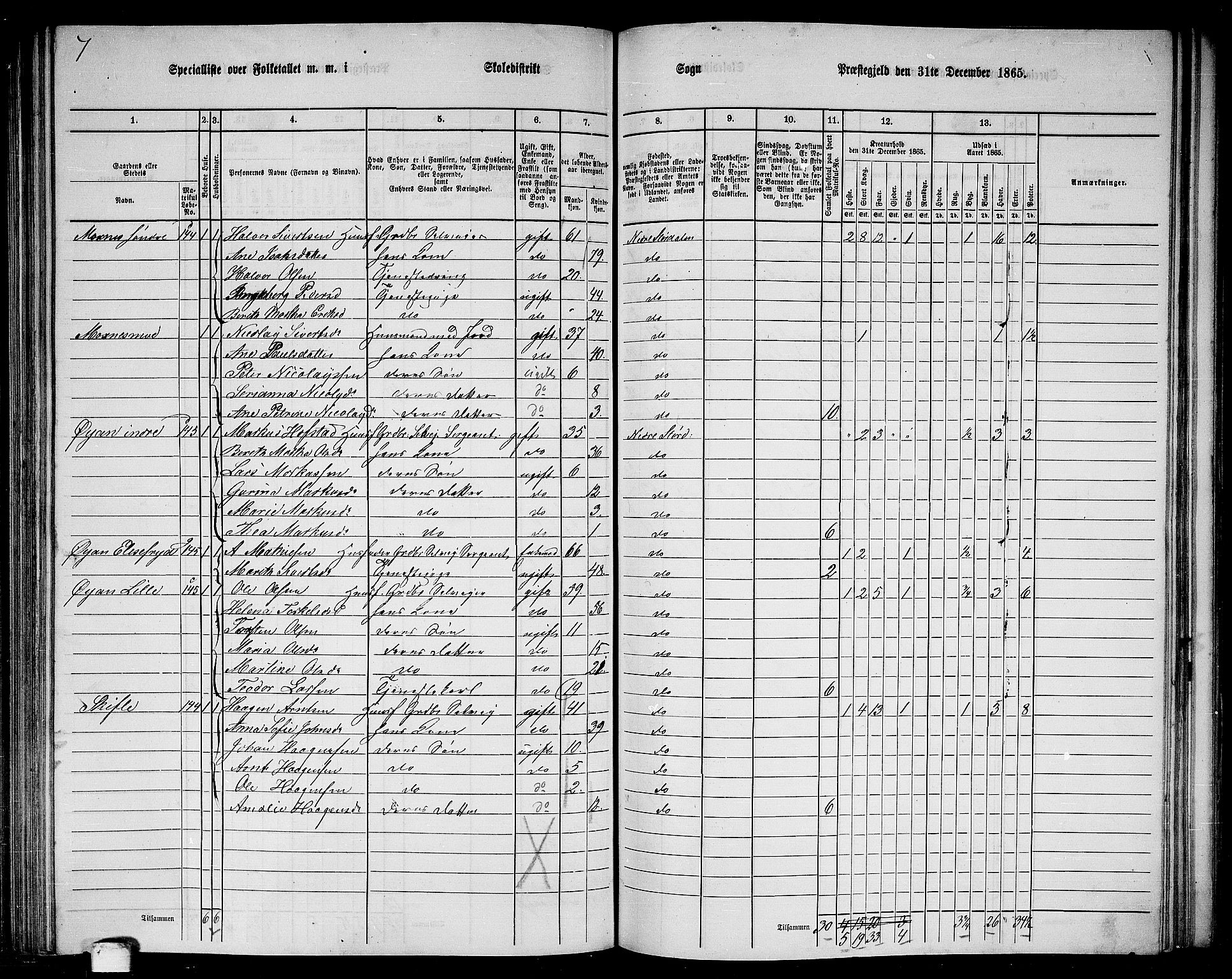 RA, 1865 census for Nedre Stjørdal, 1865, p. 182