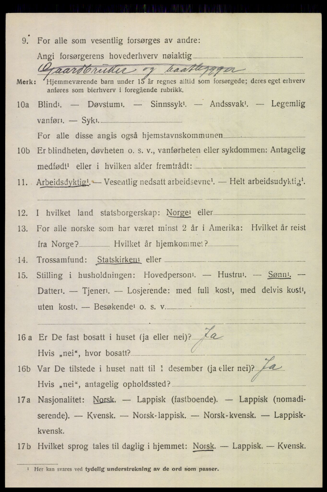 SAT, 1920 census for Saltdal, 1920, p. 6436