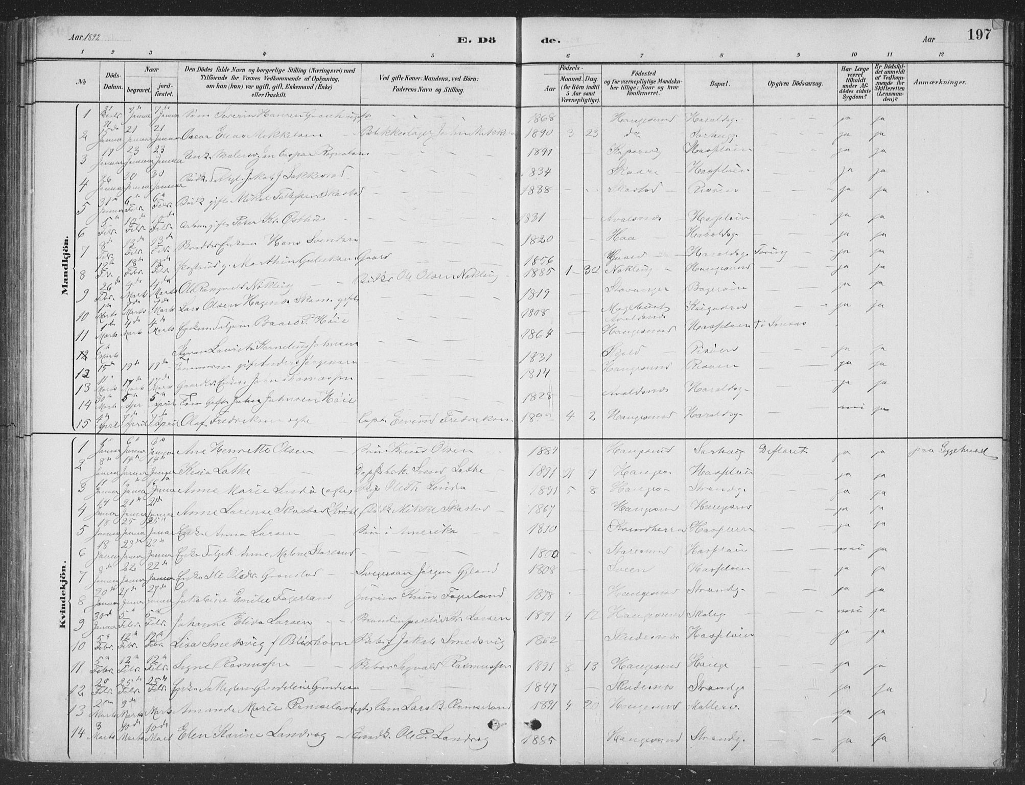 Haugesund sokneprestkontor, AV/SAST-A -101863/H/Ha/Hab/L0002: Parish register (copy) no. B 2, 1881-1894, p. 197