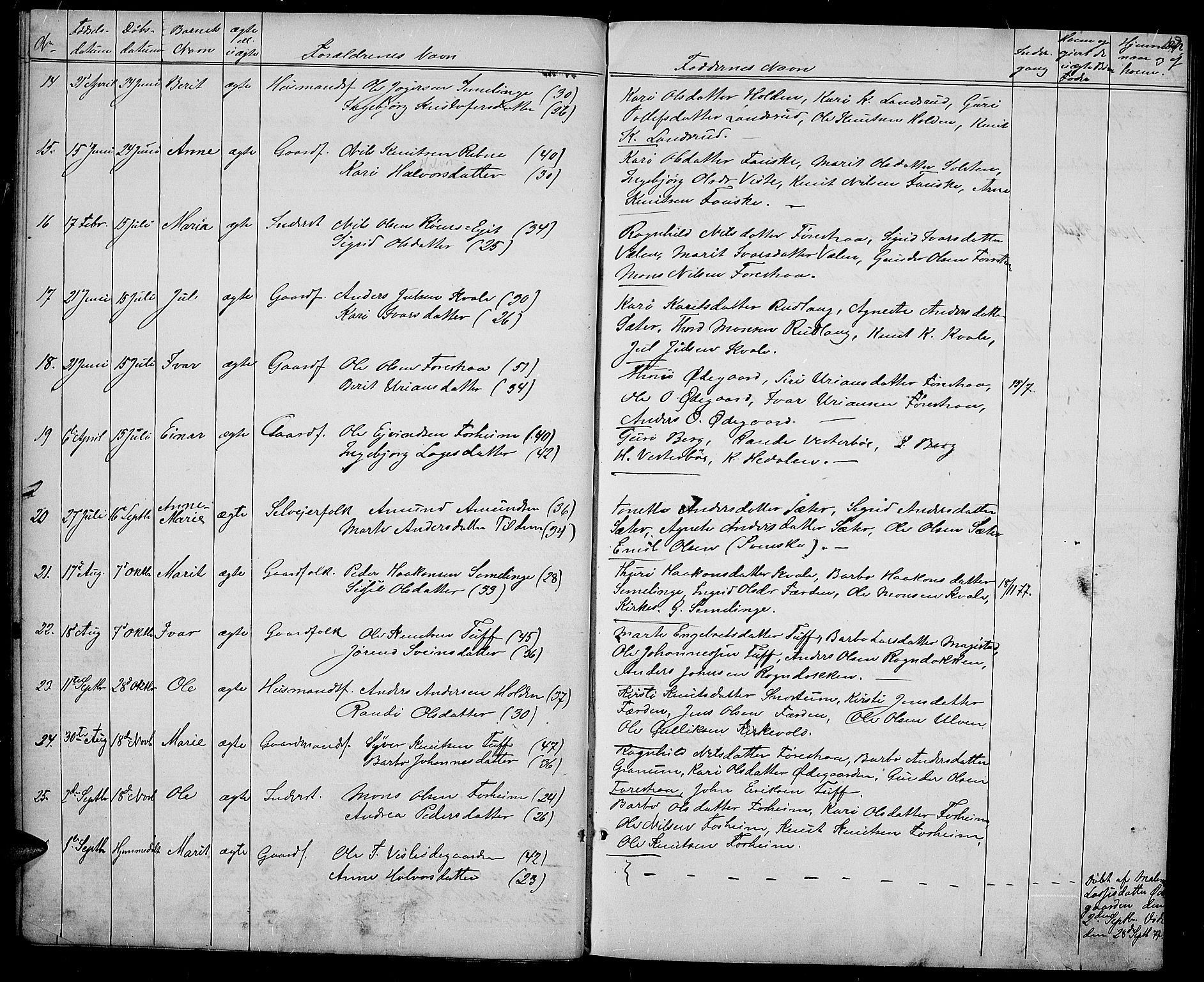 Vestre Slidre prestekontor, SAH/PREST-136/H/Ha/Hab/L0003: Parish register (copy) no. 3, 1869-1882, p. 19