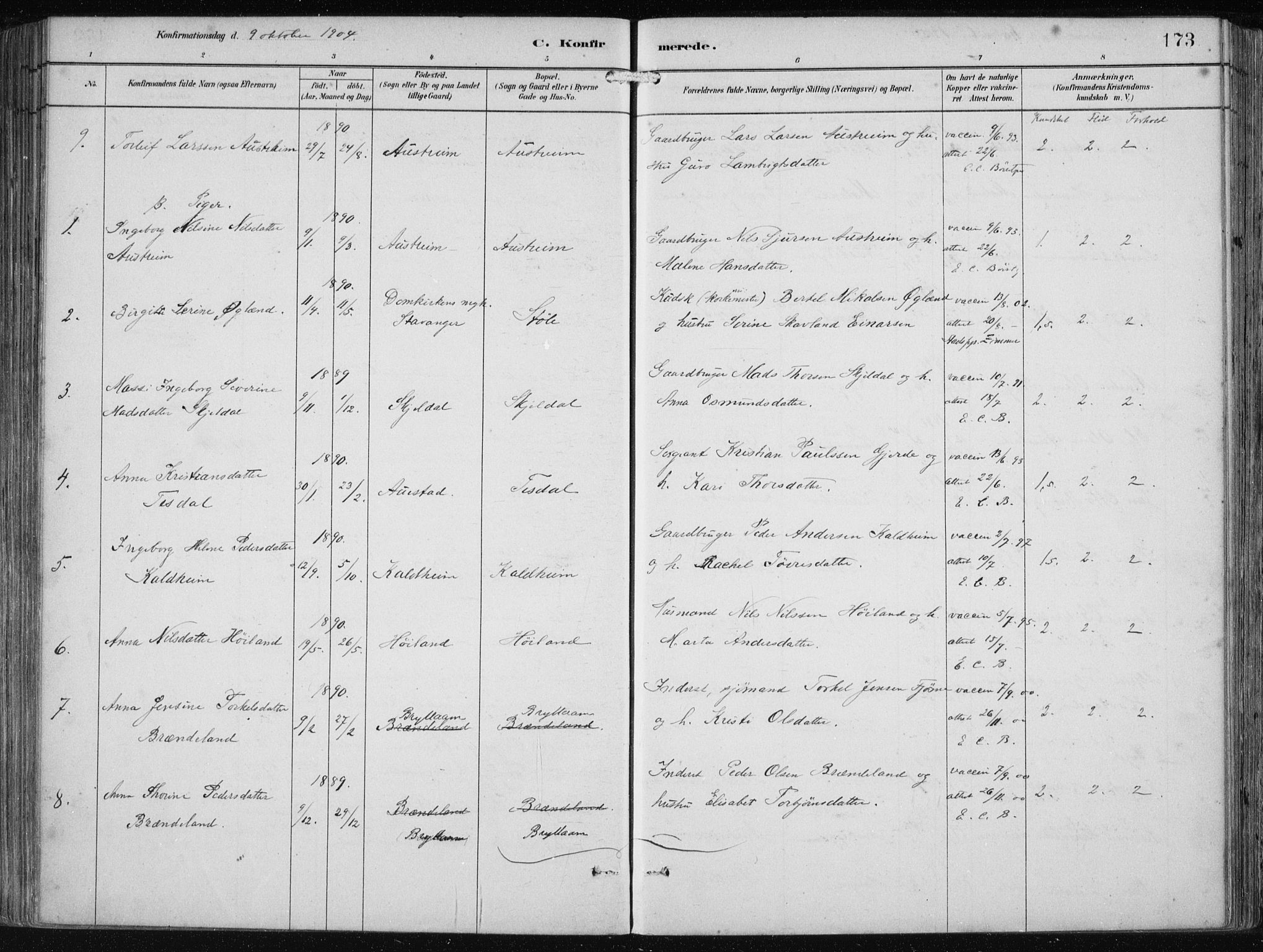 Etne sokneprestembete, AV/SAB-A-75001/H/Haa: Parish register (official) no. B  1, 1879-1919, p. 173