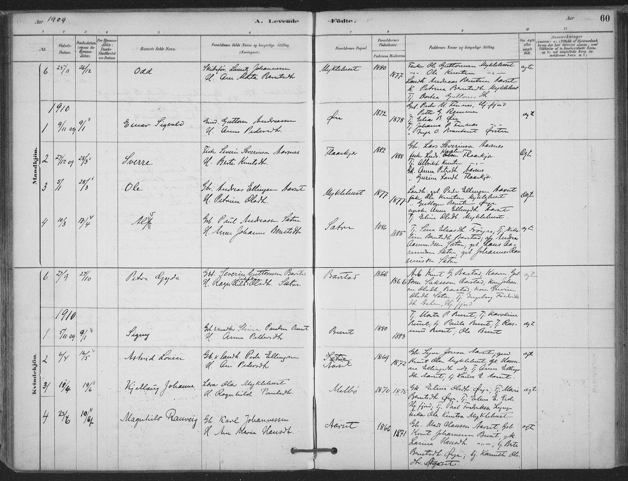 Ministerialprotokoller, klokkerbøker og fødselsregistre - Møre og Romsdal, SAT/A-1454/514/L0199: Parish register (official) no. 514A01, 1878-1912, p. 60