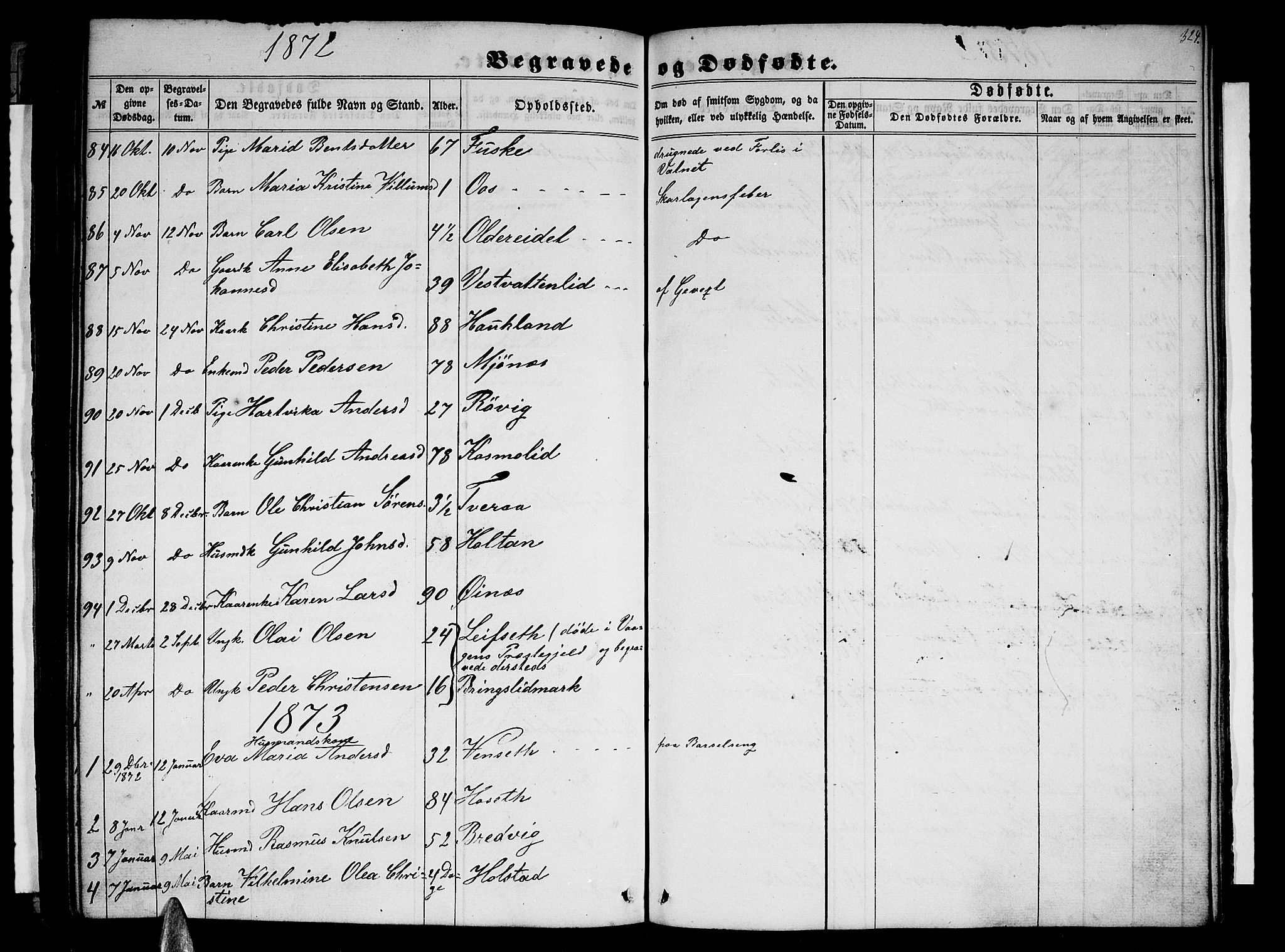 Ministerialprotokoller, klokkerbøker og fødselsregistre - Nordland, AV/SAT-A-1459/852/L0753: Parish register (copy) no. 852C04, 1856-1877, p. 324