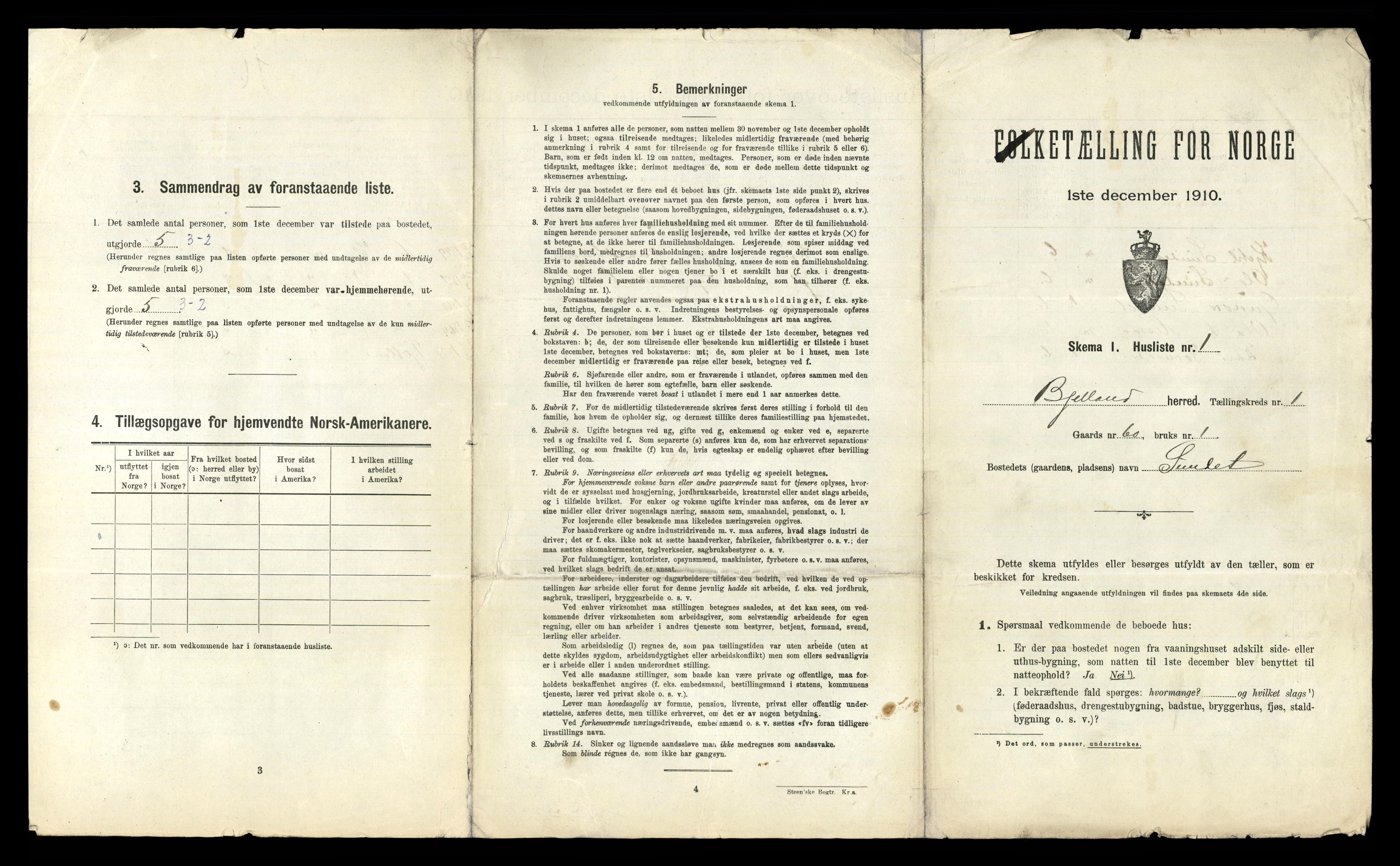 RA, 1910 census for Bjelland, 1910, p. 30