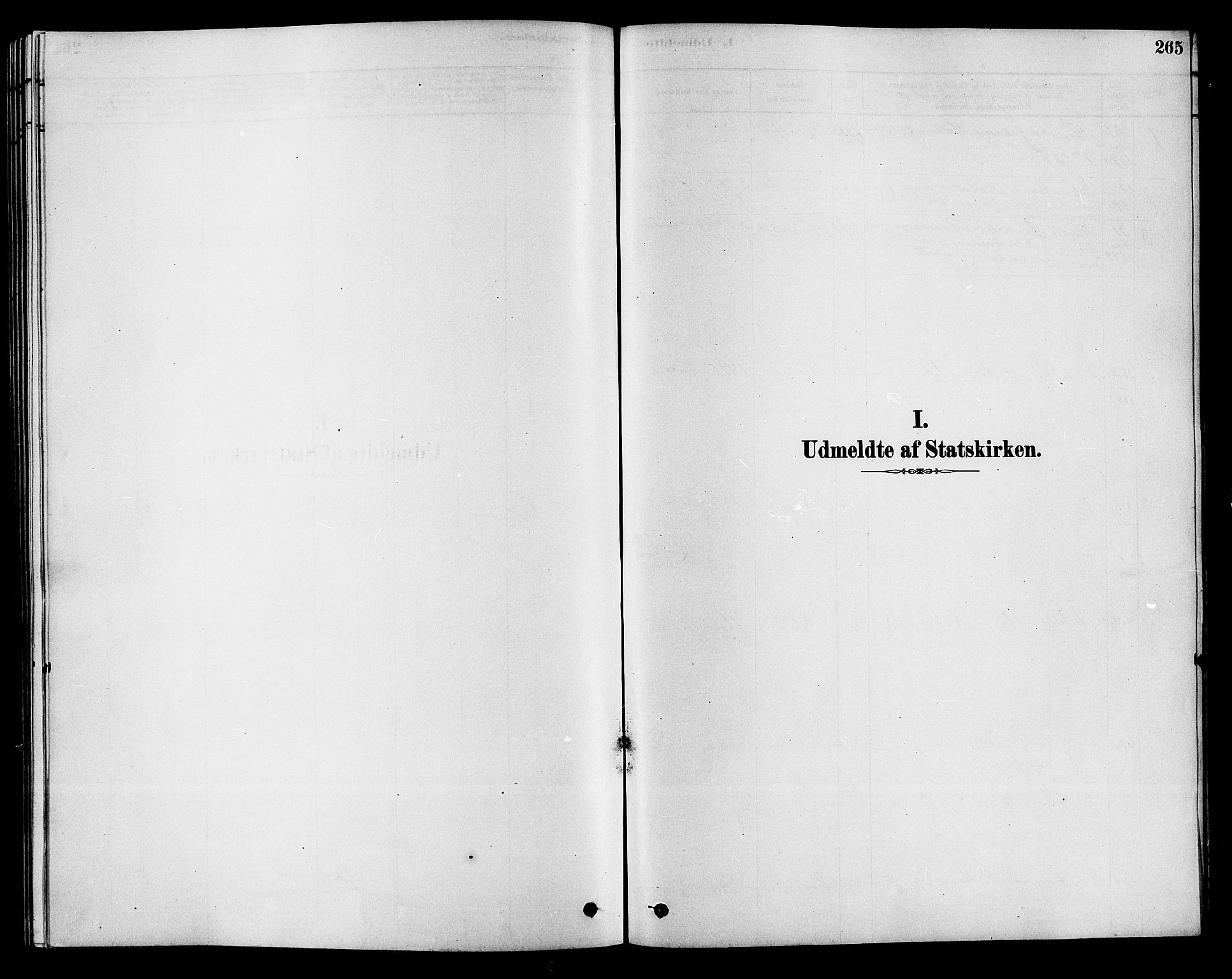 Hole kirkebøker, SAKO/A-228/F/Fa/L0008: Parish register (official) no. I 8, 1878-1891, p. 265