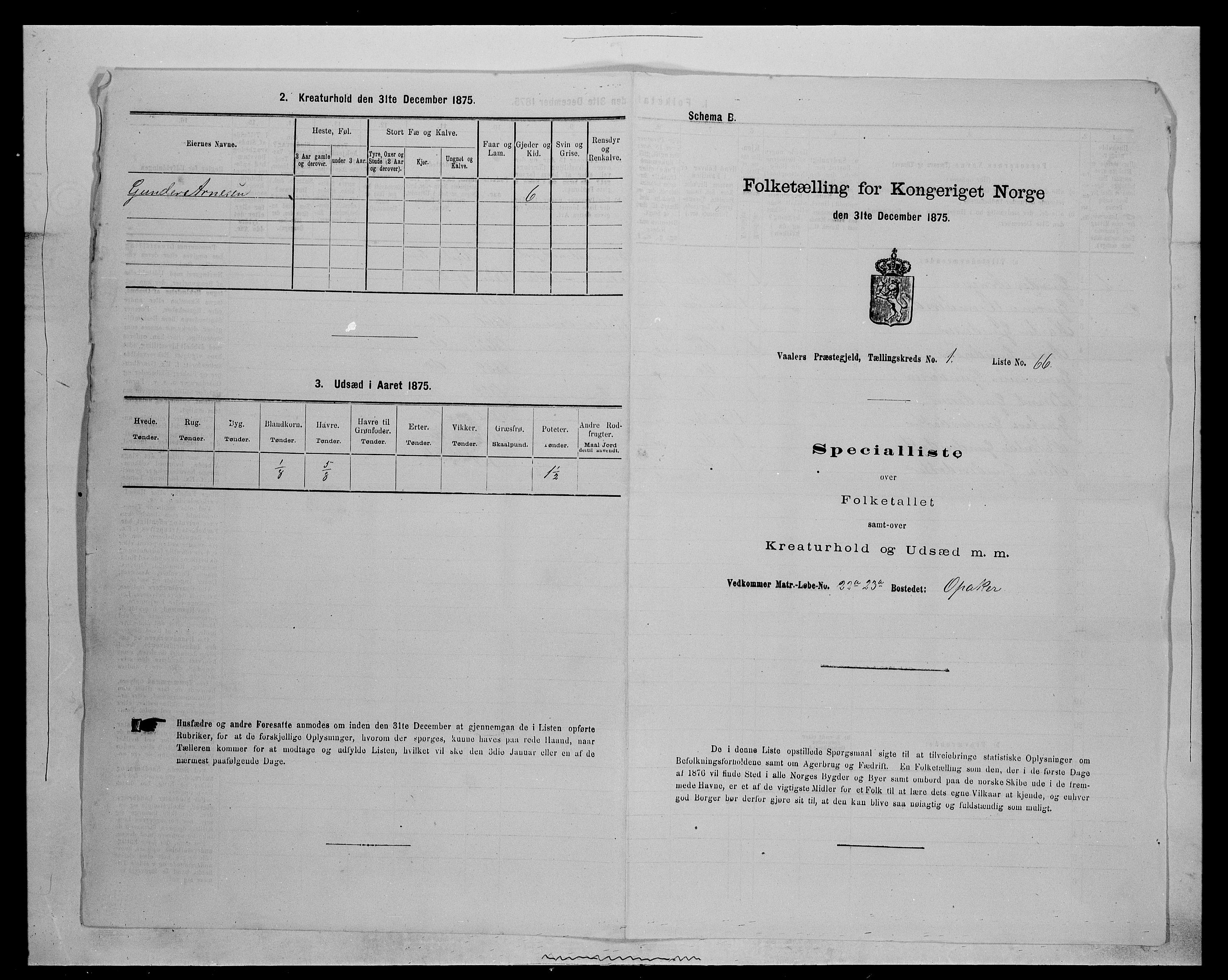 SAH, 1875 census for 0426P Våler parish (Hedmark), 1875, p. 242