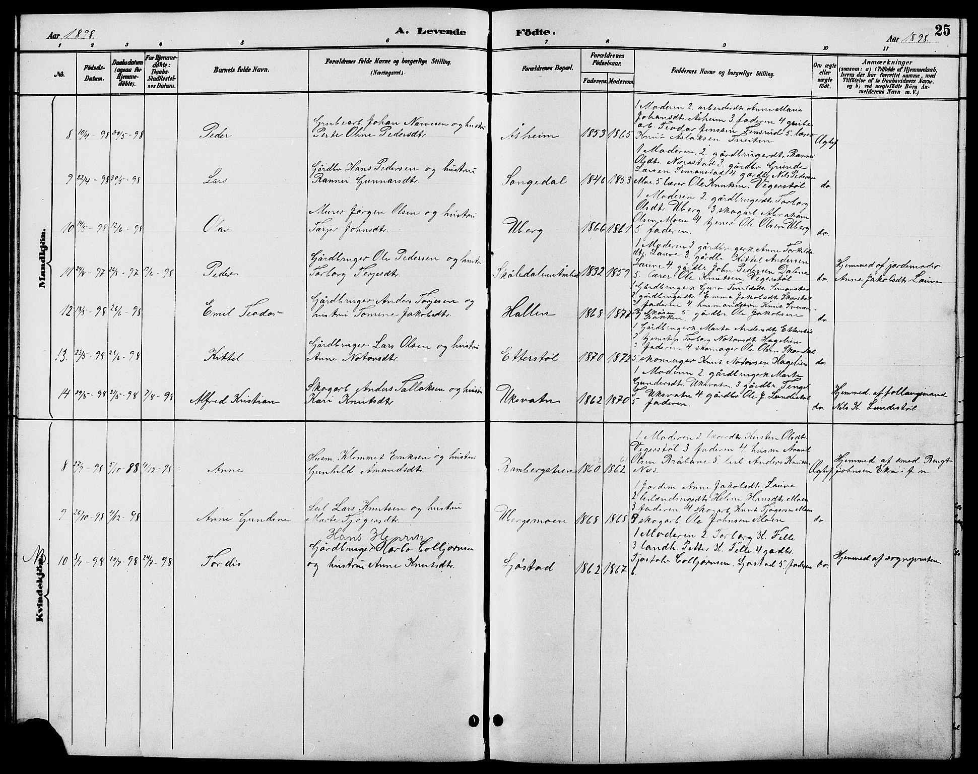 Gjerstad sokneprestkontor, SAK/1111-0014/F/Fb/Fbb/L0004: Parish register (copy) no. B 4, 1890-1910, p. 25