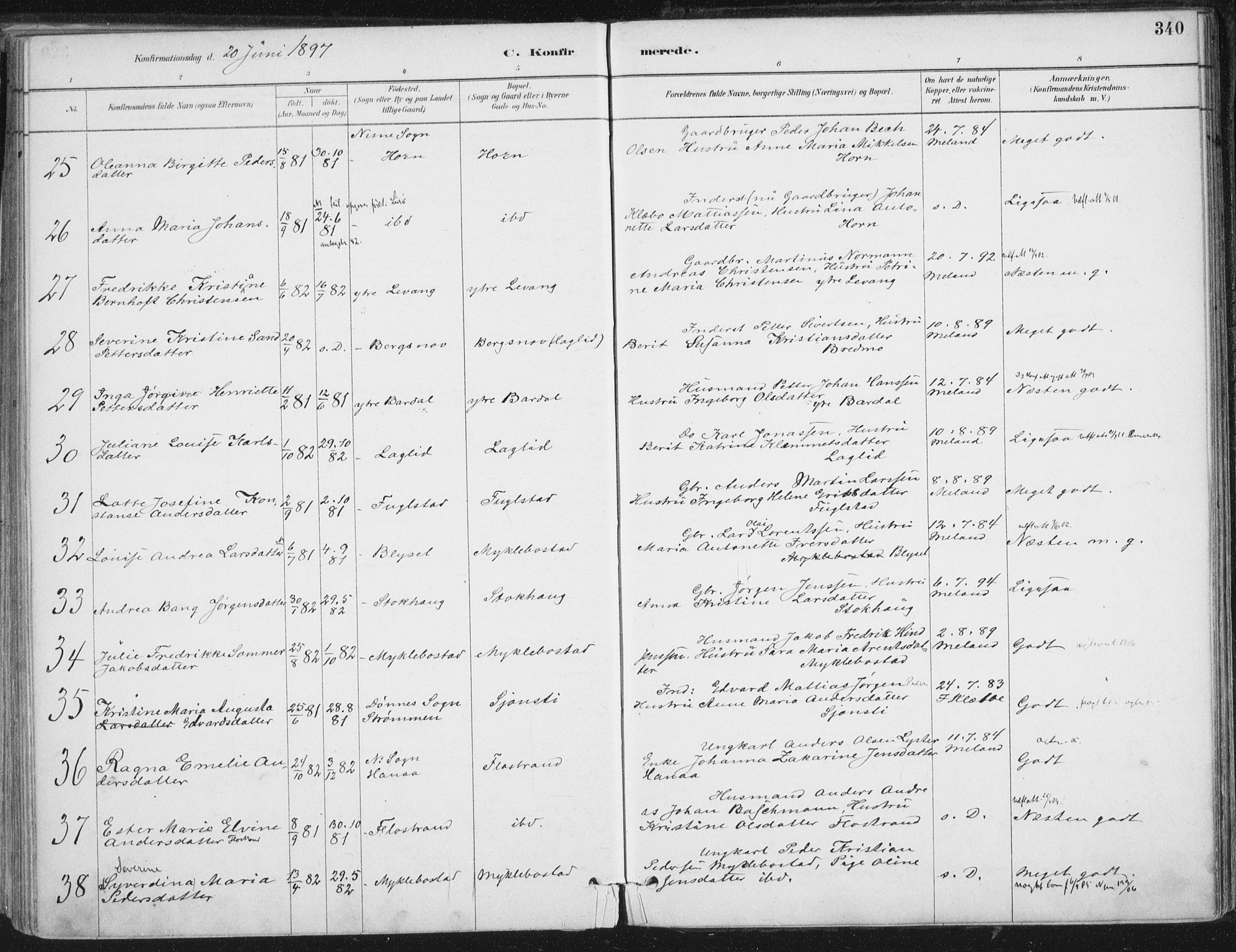 Ministerialprotokoller, klokkerbøker og fødselsregistre - Nordland, AV/SAT-A-1459/838/L0552: Parish register (official) no. 838A10, 1880-1910, p. 340