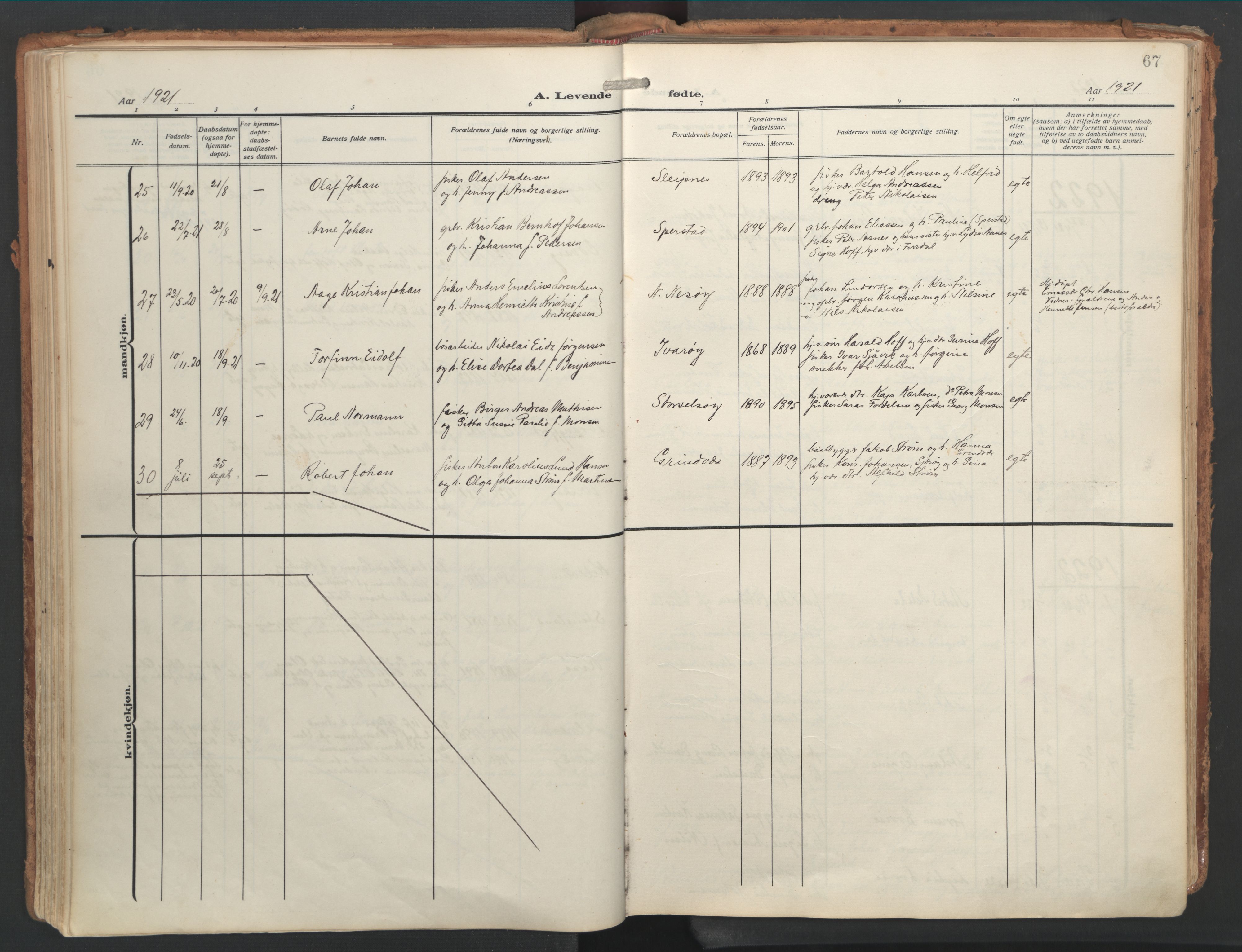 Ministerialprotokoller, klokkerbøker og fødselsregistre - Nordland, AV/SAT-A-1459/841/L0614: Parish register (official) no. 841A17, 1911-1925, p. 67