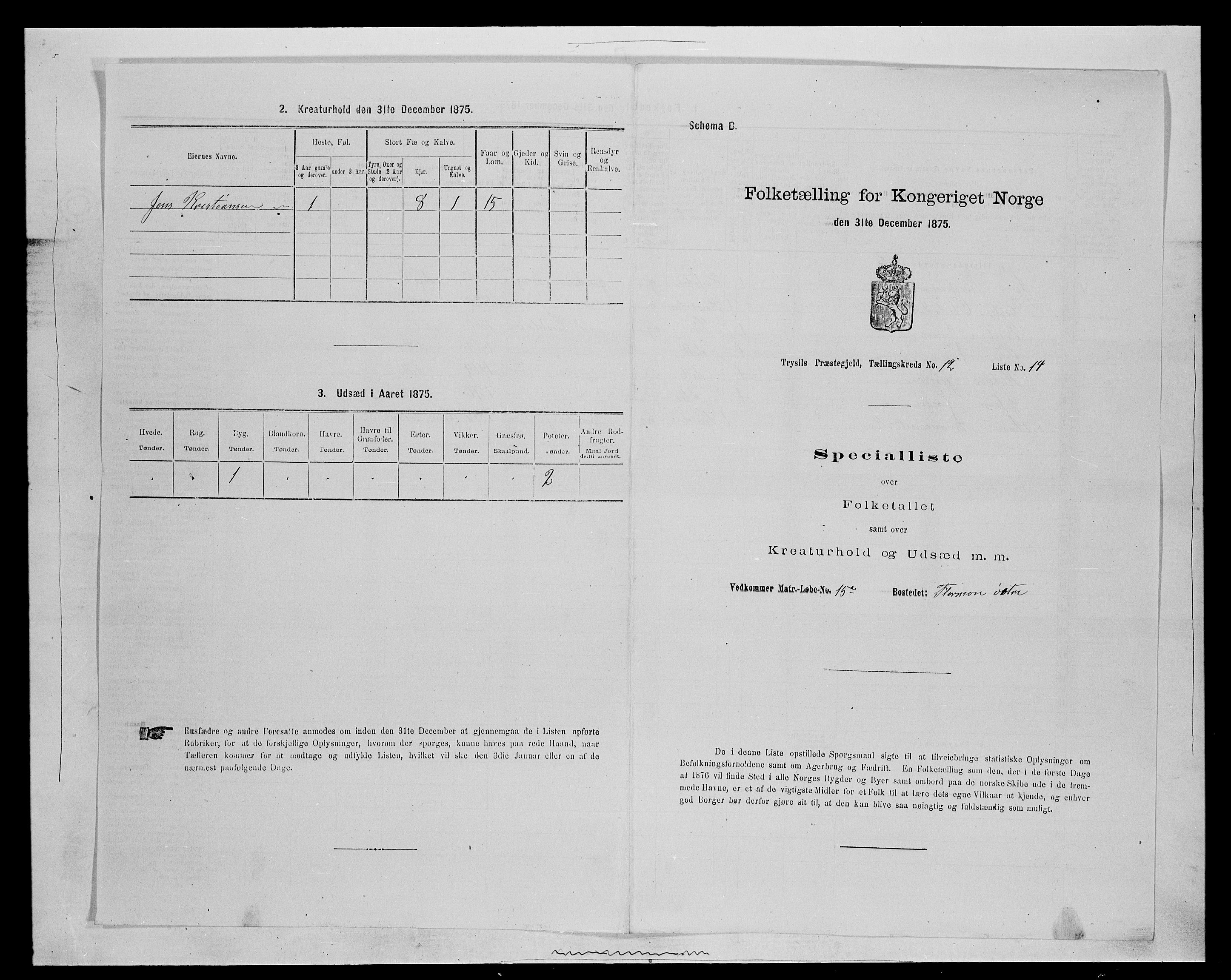 SAH, 1875 census for 0428P Trysil, 1875, p. 1352