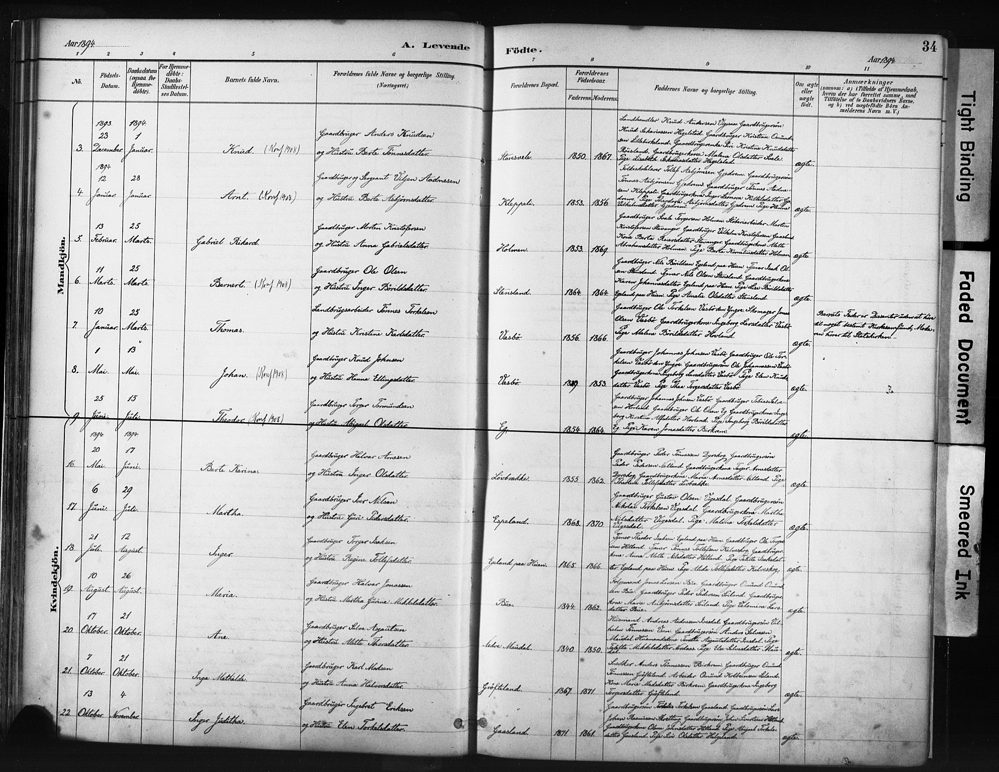 Helleland sokneprestkontor, AV/SAST-A-101810: Parish register (official) no. A 9, 1887-1908, p. 34