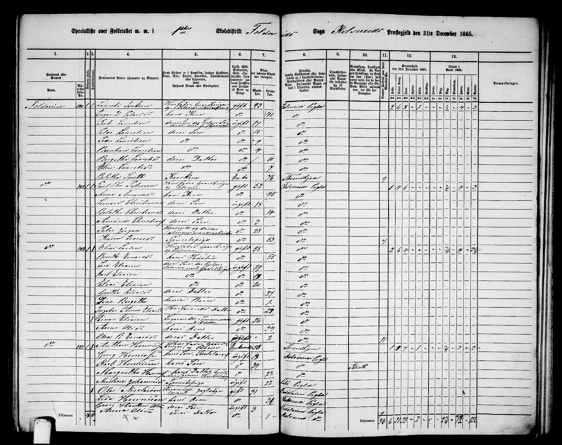 RA, 1865 census for Kolvereid, 1865, p. 9