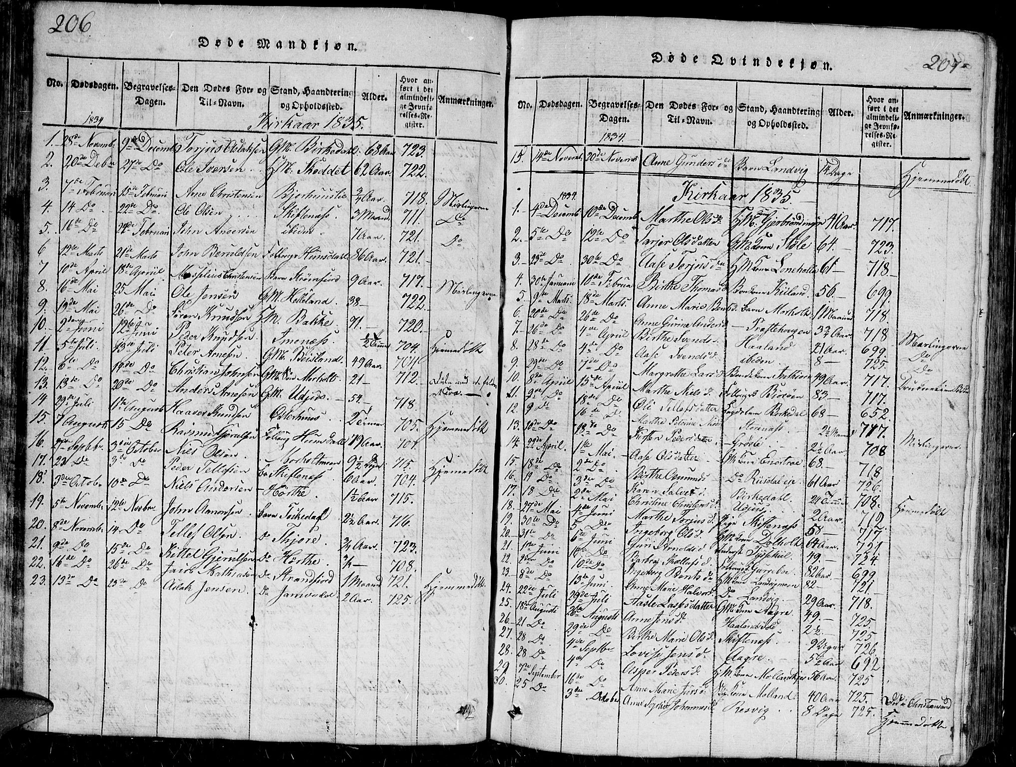 Hommedal sokneprestkontor, AV/SAK-1111-0023/F/Fb/Fbb/L0003: Parish register (copy) no. B 3 /1, 1816-1850, p. 206-207