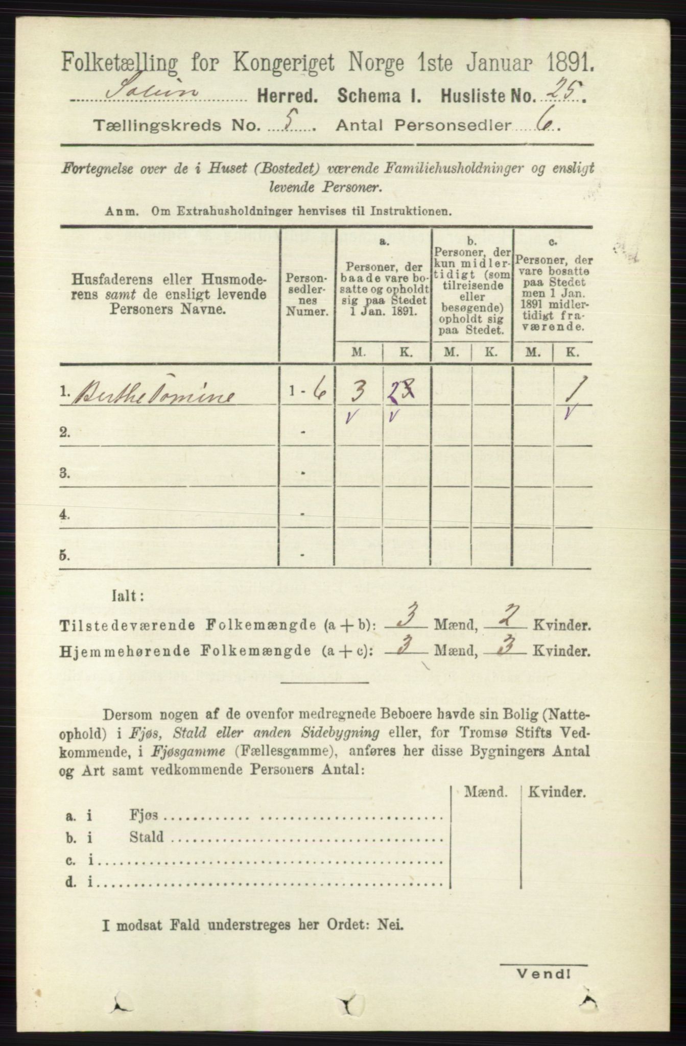 RA, 1891 census for 0818 Solum, 1891, p. 822