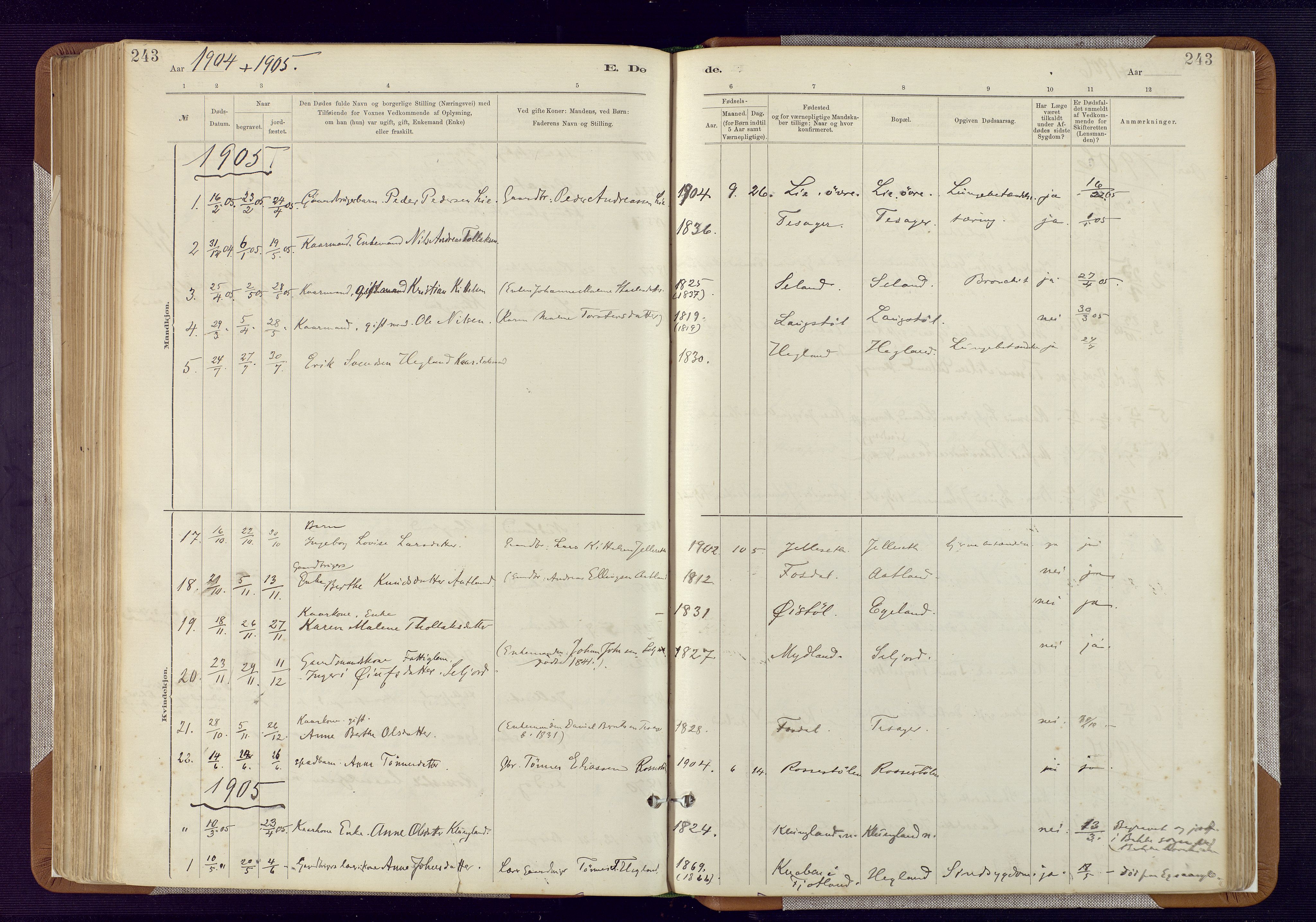 Bakke sokneprestkontor, SAK/1111-0002/F/Fa/Fab/L0003: Parish register (official) no. A 3, 1884-1921, p. 243