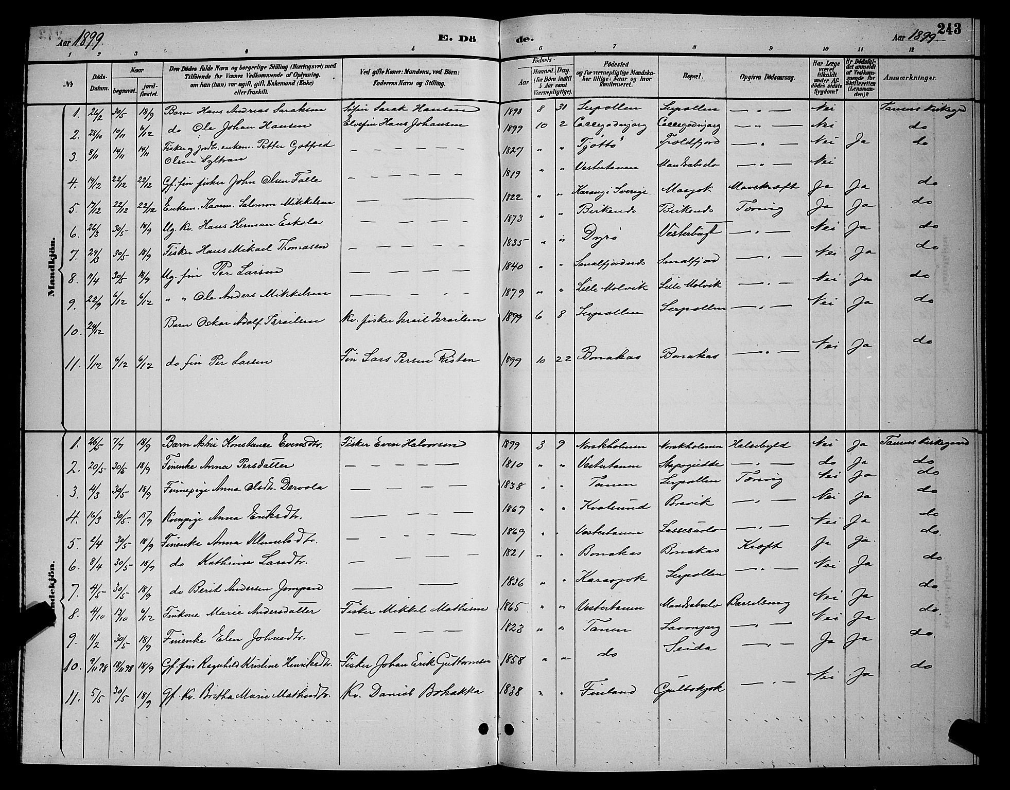 Tana sokneprestkontor, SATØ/S-1334/H/Hb/L0004klokker: Parish register (copy) no. 4, 1890-1903, p. 243