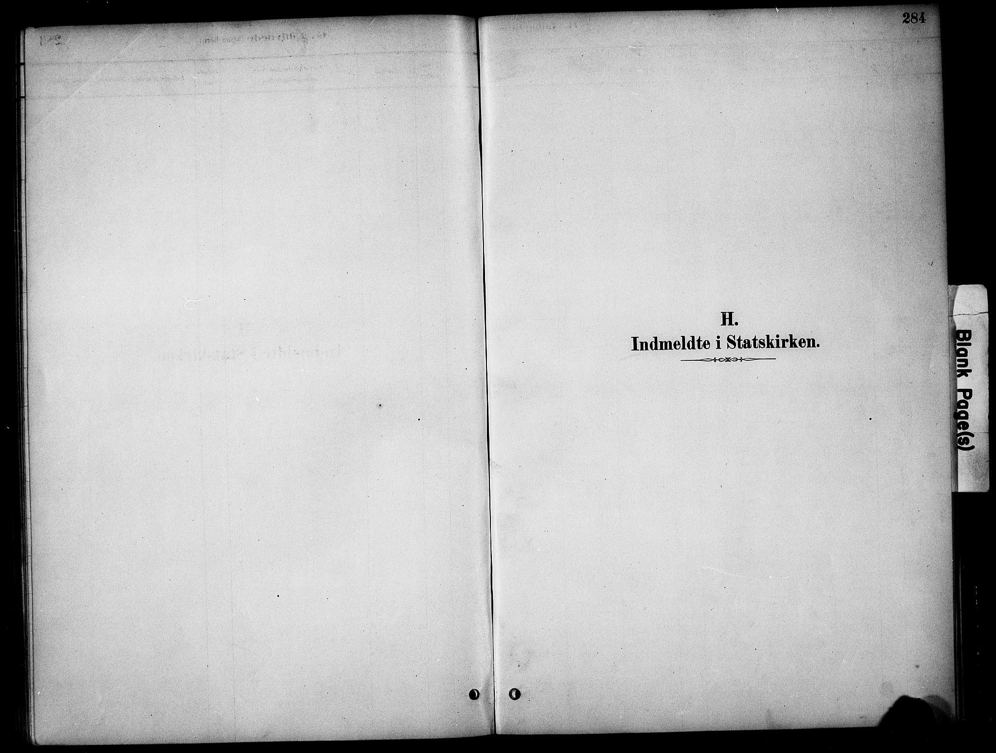 Tynset prestekontor, SAH/PREST-058/H/Ha/Hab/L0006: Parish register (copy) no. 6, 1880-1899, p. 284