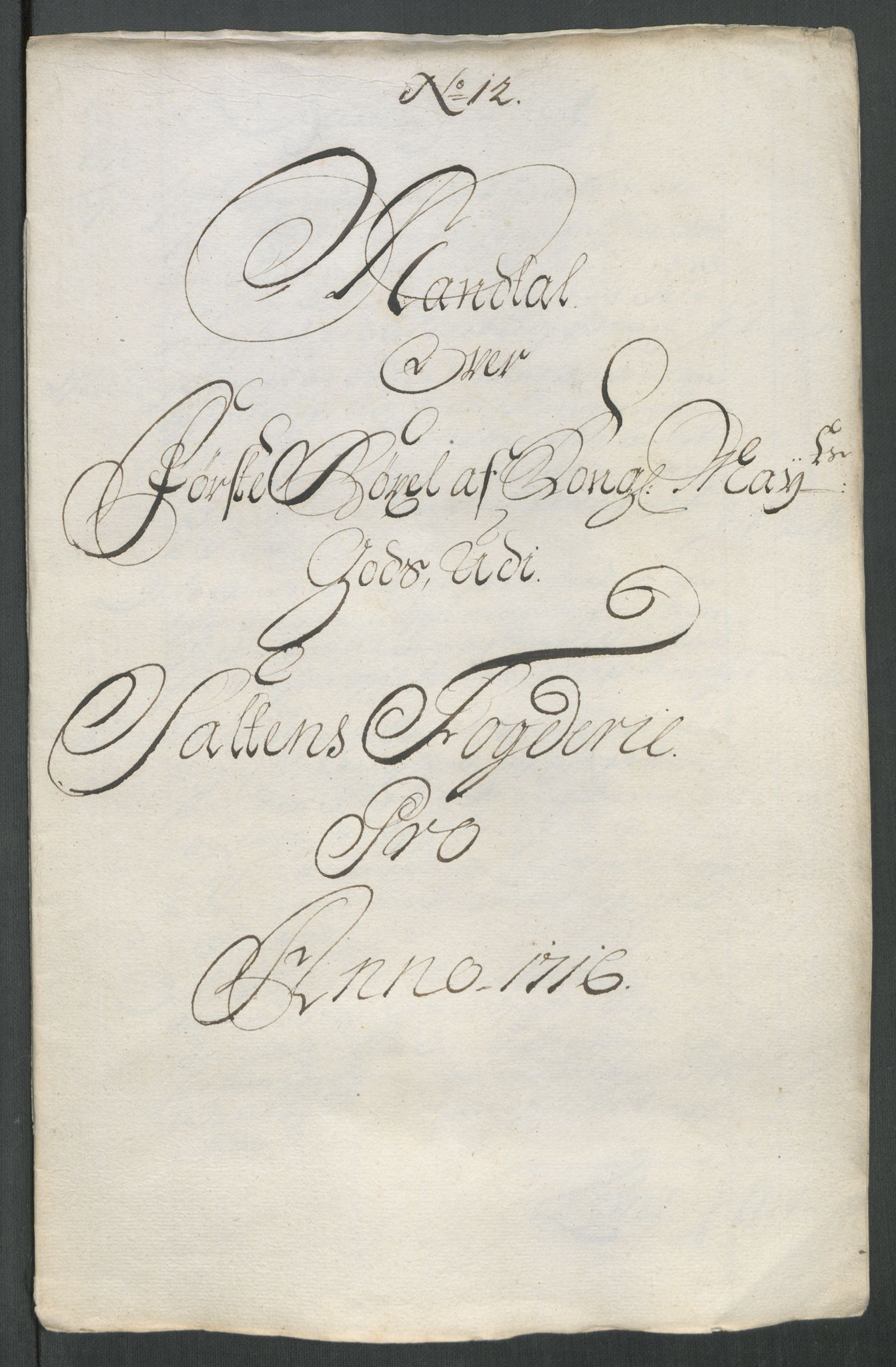 Rentekammeret inntil 1814, Reviderte regnskaper, Fogderegnskap, AV/RA-EA-4092/R66/L4586: Fogderegnskap Salten, 1716, p. 165