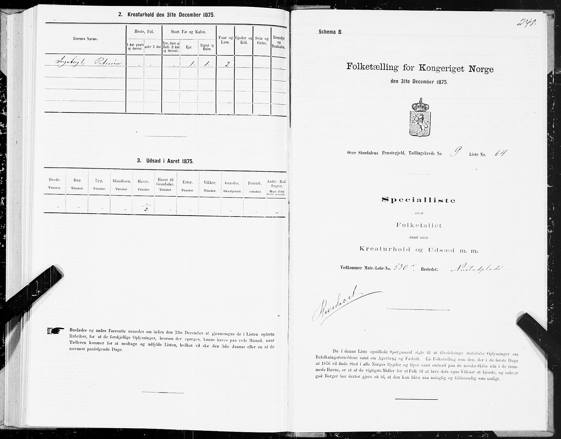 SAT, 1875 census for 1711P Øvre Stjørdal, 1875, p. 5248