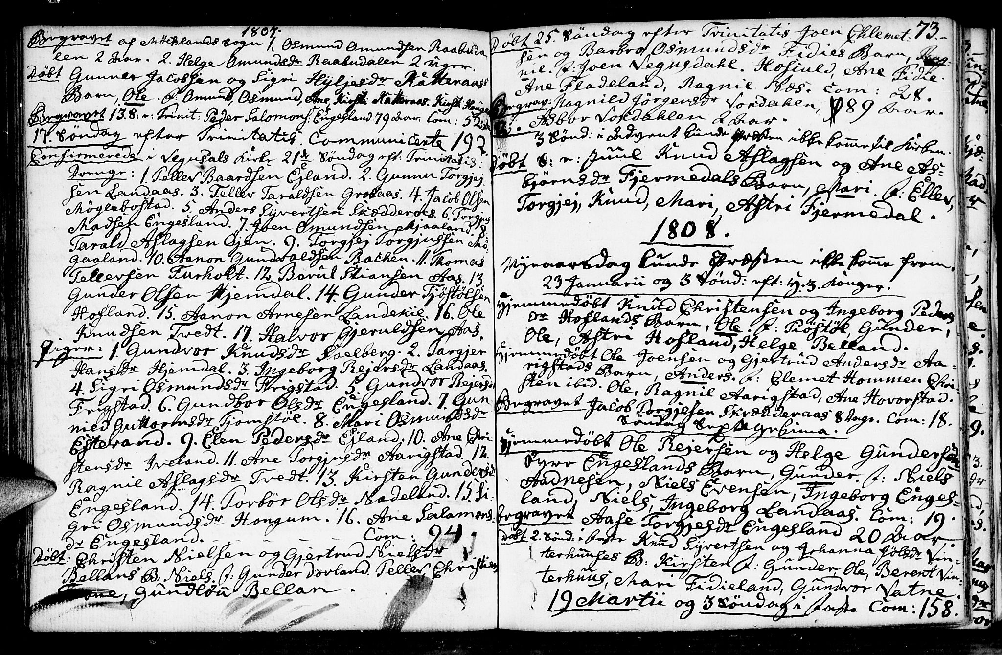 Herefoss sokneprestkontor, AV/SAK-1111-0019/F/Fa/Fab/L0002: Parish register (official) no. A 2, 1780-1816, p. 73