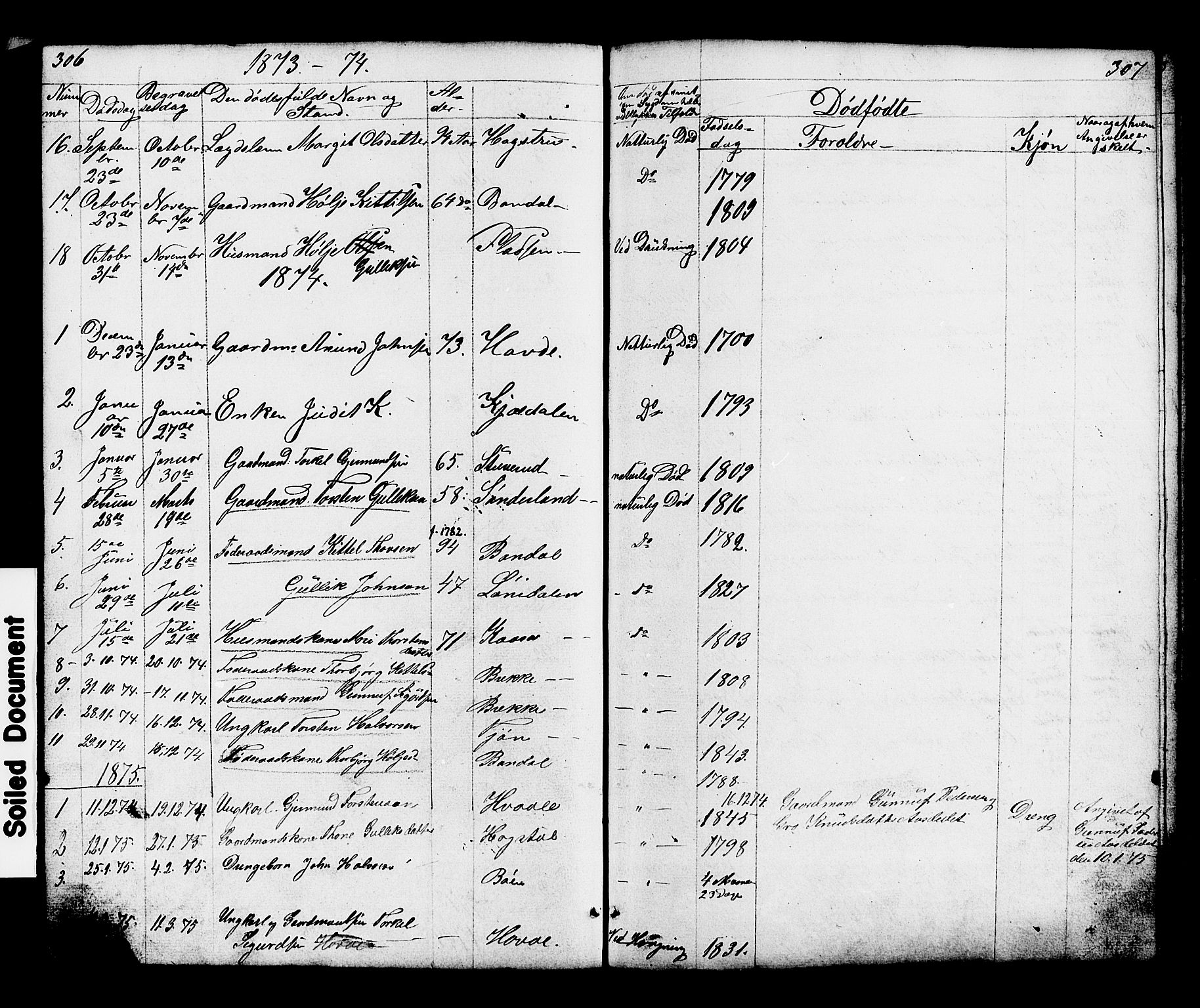 Hjartdal kirkebøker, SAKO/A-270/G/Gc/L0002: Parish register (copy) no. III 2, 1854-1890, p. 306-307