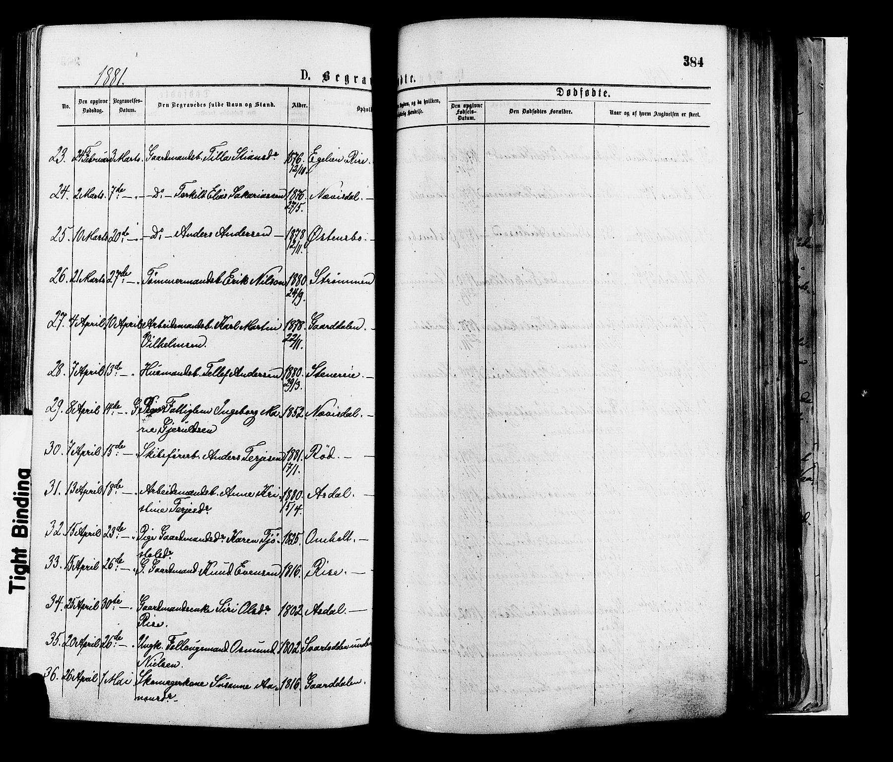 Øyestad sokneprestkontor, AV/SAK-1111-0049/F/Fa/L0016: Parish register (official) no. A 16, 1874-1886, p. 384