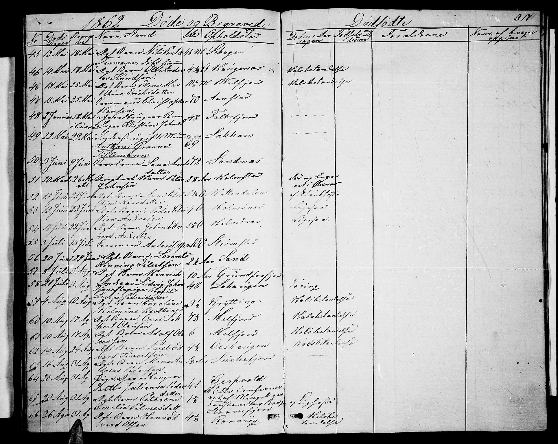 Ministerialprotokoller, klokkerbøker og fødselsregistre - Nordland, SAT/A-1459/888/L1265: Parish register (copy) no. 888C03, 1850-1863, p. 317