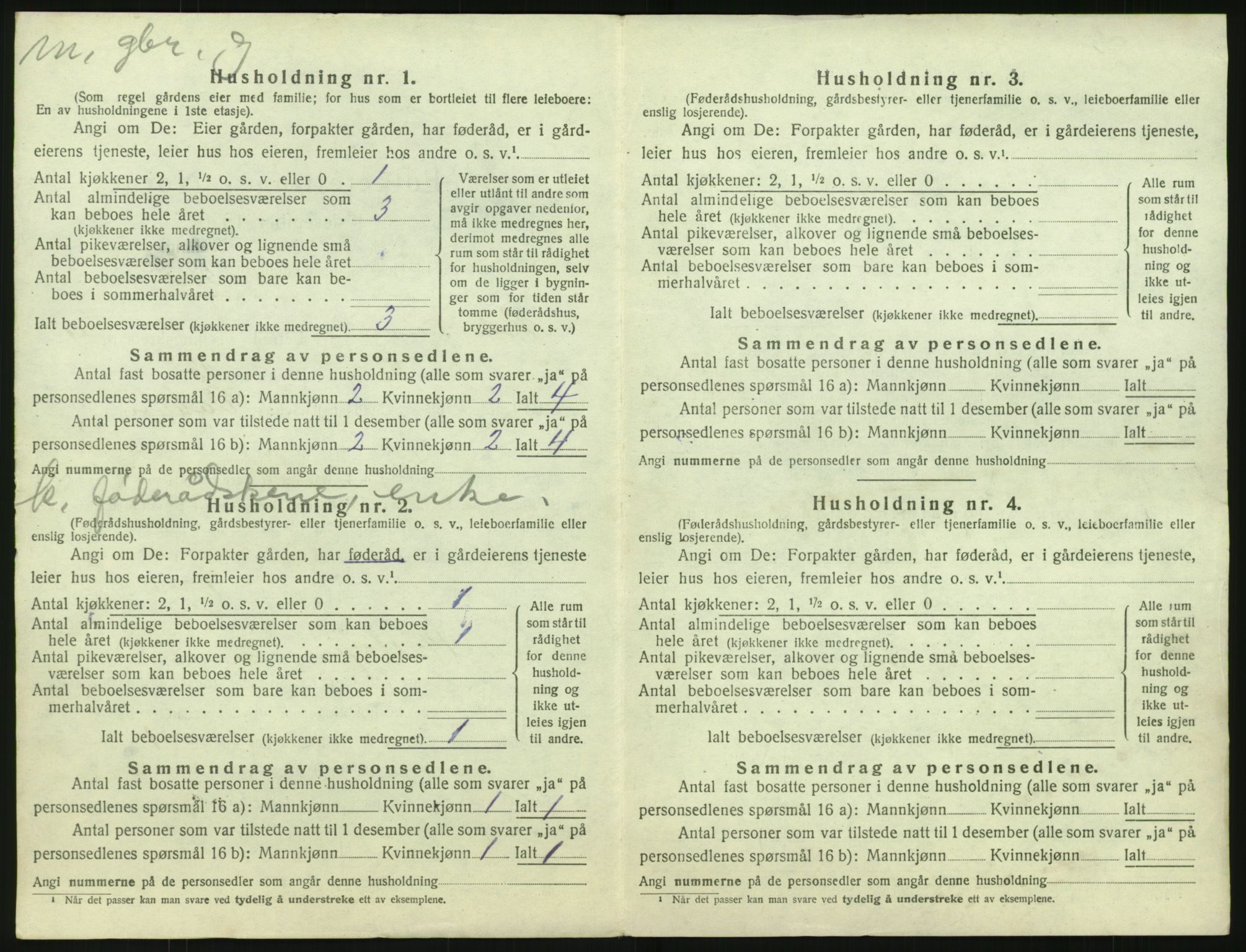 SAH, 1920 census for Øystre Slidre, 1920, p. 1002