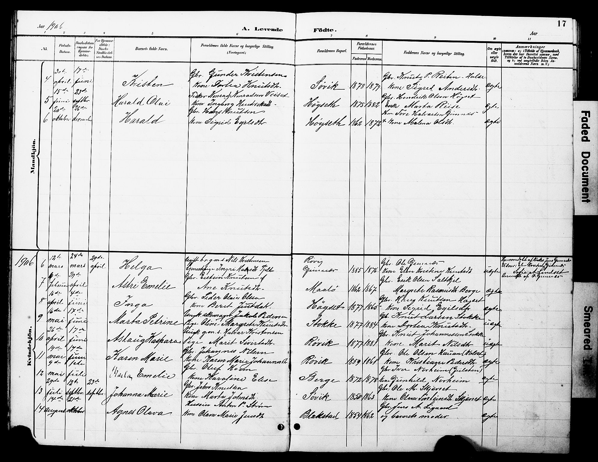 Ministerialprotokoller, klokkerbøker og fødselsregistre - Møre og Romsdal, AV/SAT-A-1454/585/L0973: Parish register (copy) no. 585C01, 1893-1930, p. 17