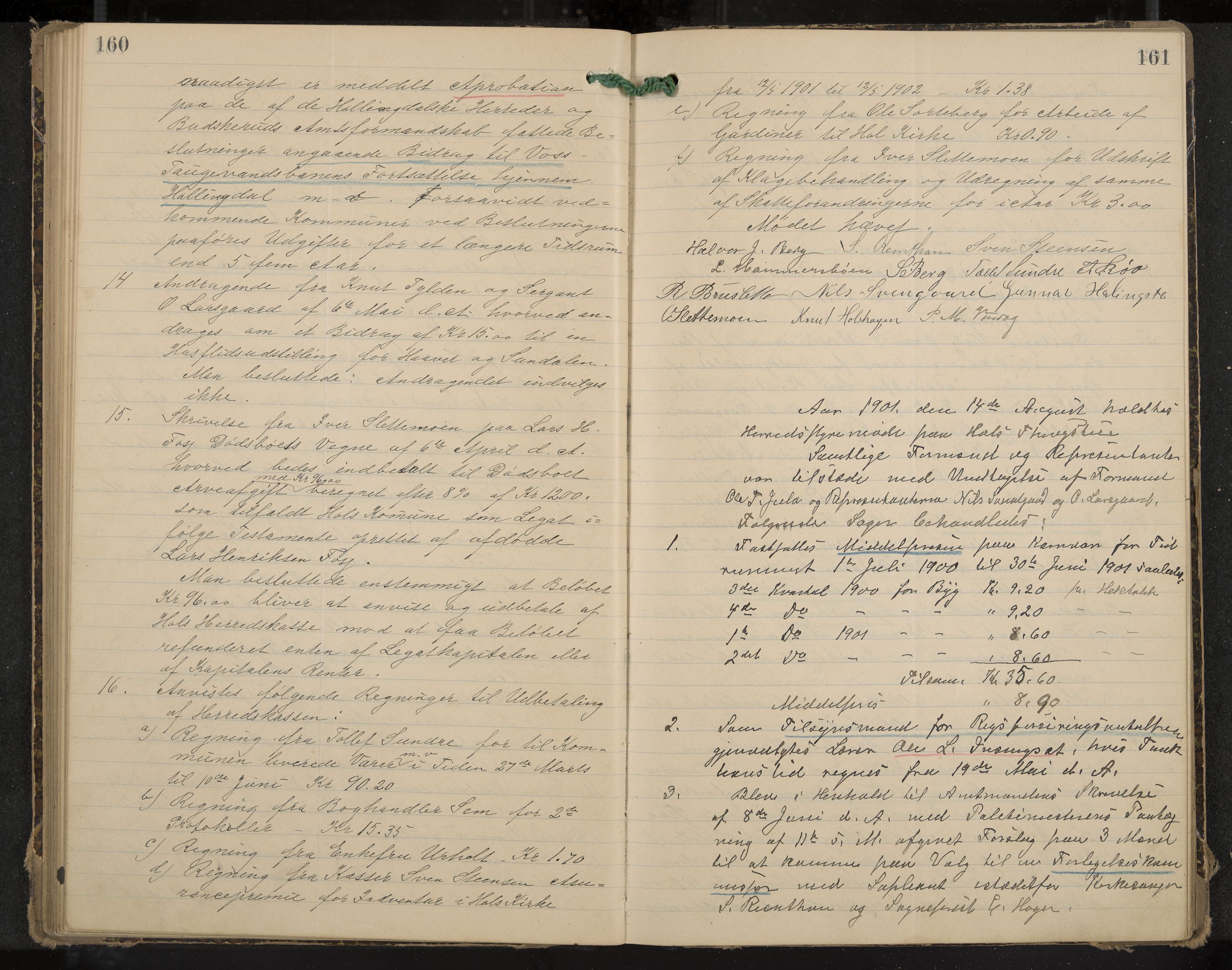 Hol formannskap og sentraladministrasjon, IKAK/0620021-1/A/L0003: Møtebok, 1897-1904, p. 160-161