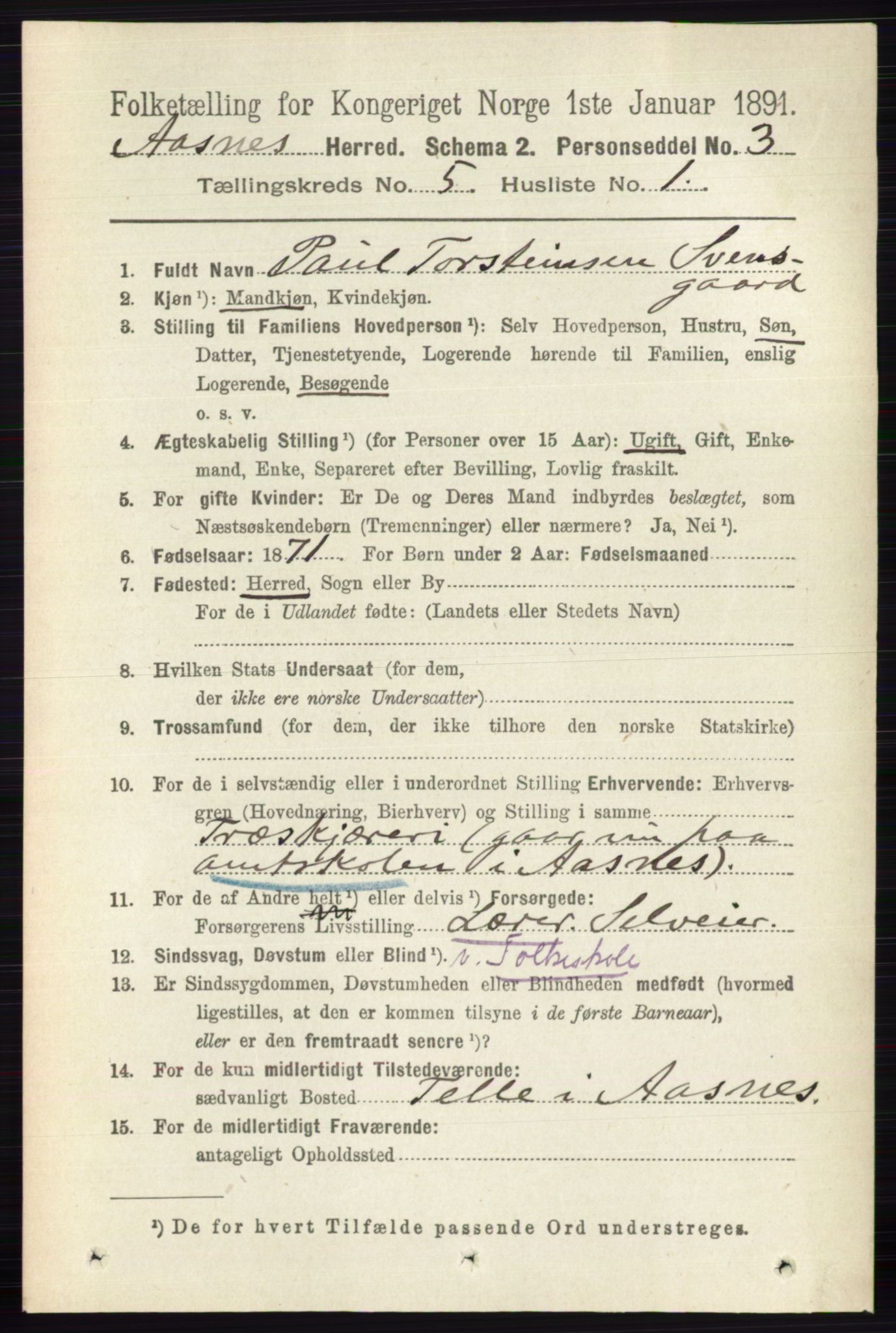 RA, 1891 census for 0425 Åsnes, 1891, p. 2432