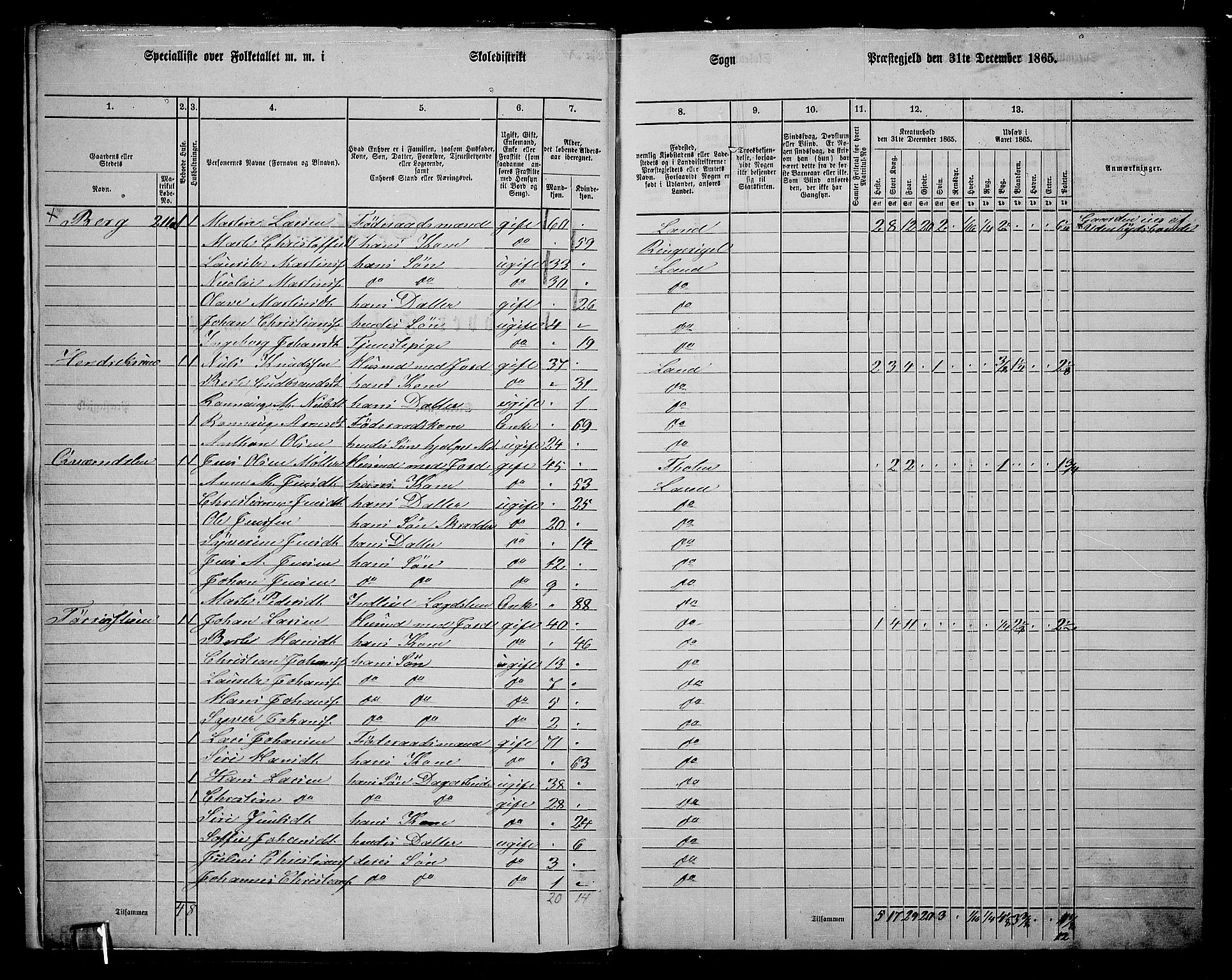 RA, 1865 census for Land, 1865, p. 218