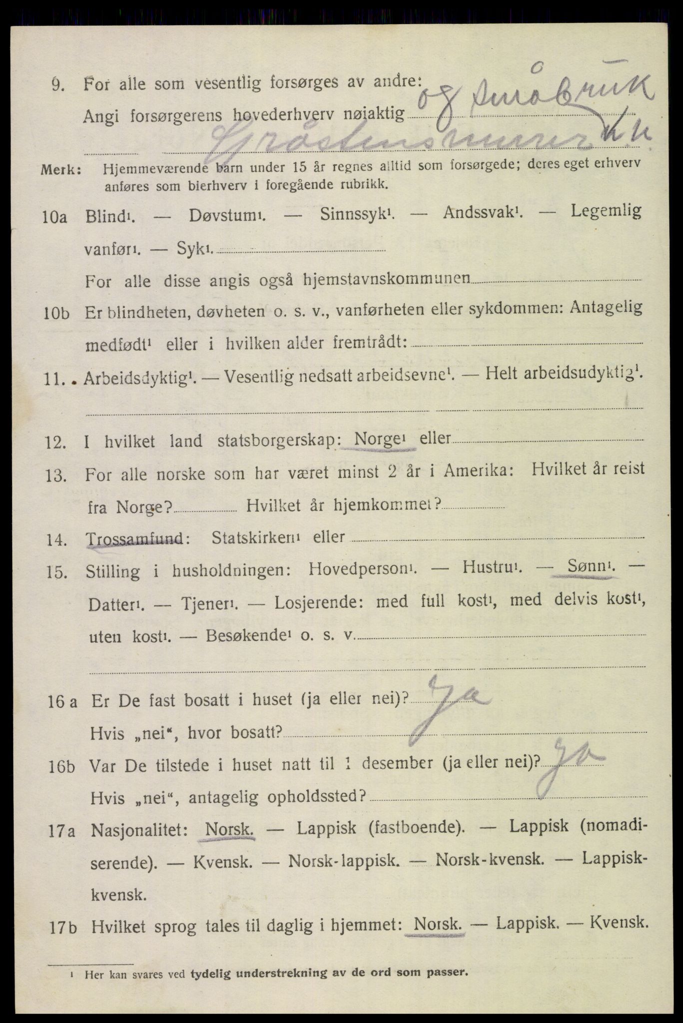 SAT, 1920 census for Bodin, 1920, p. 12283